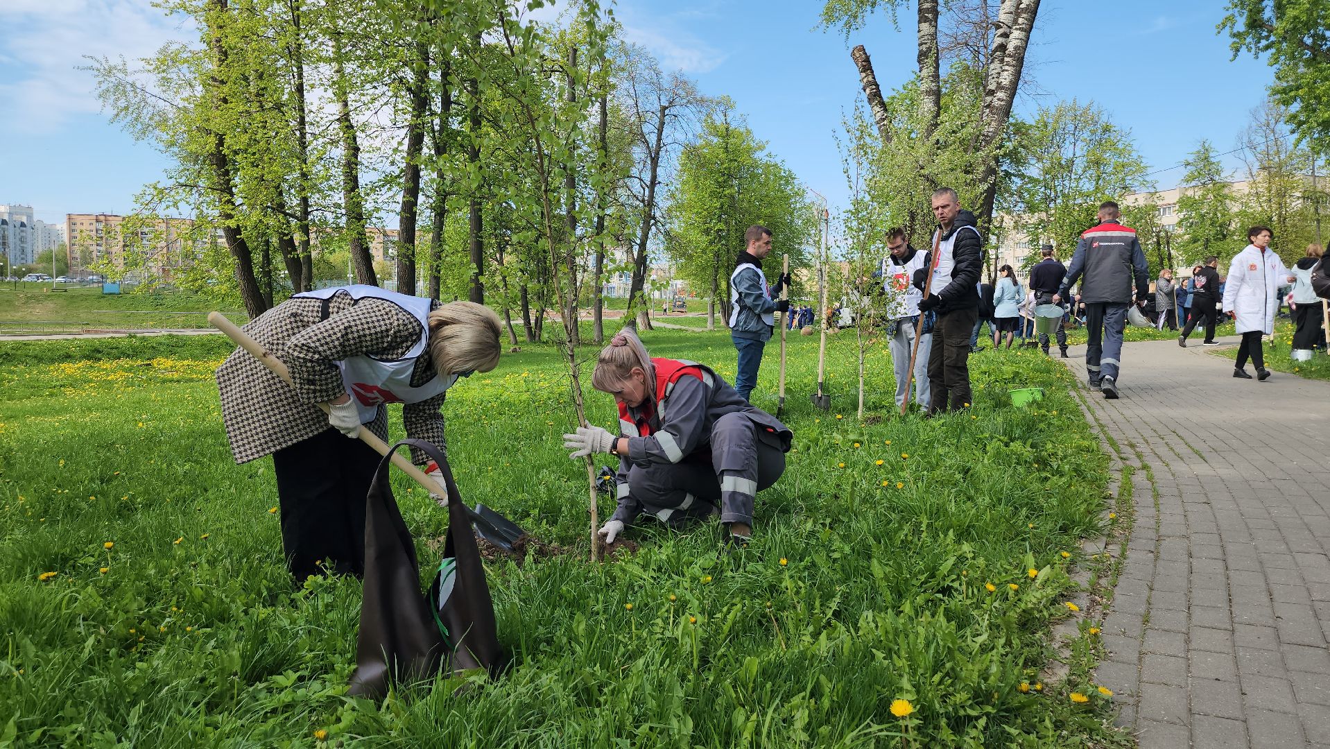 серпухов, парк жемчужина, сад памяти, сажали деревья, микрорайон имени ногина, юбилей победы,