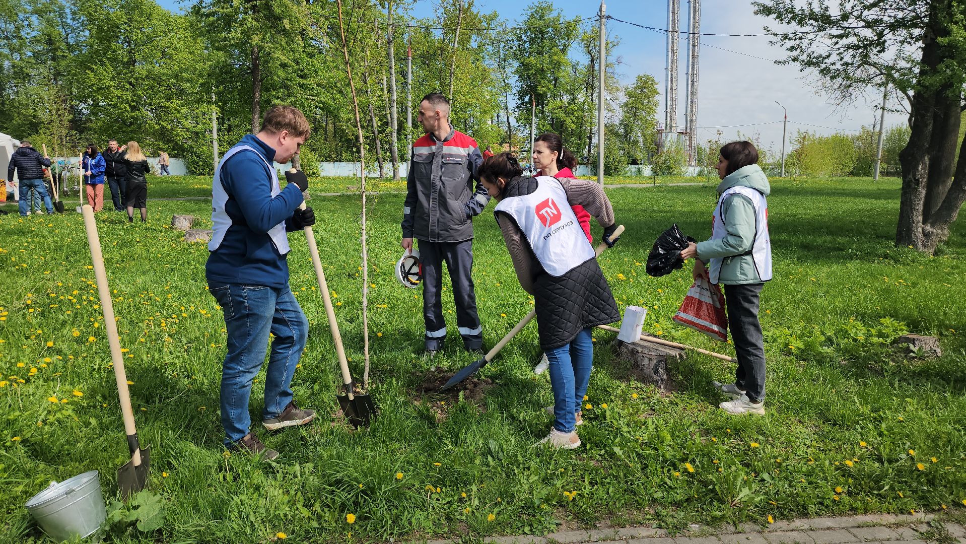 серпухов, парк жемчужина, сад памяти, сажали деревья, микрорайон имени ногина, юбилей победы,