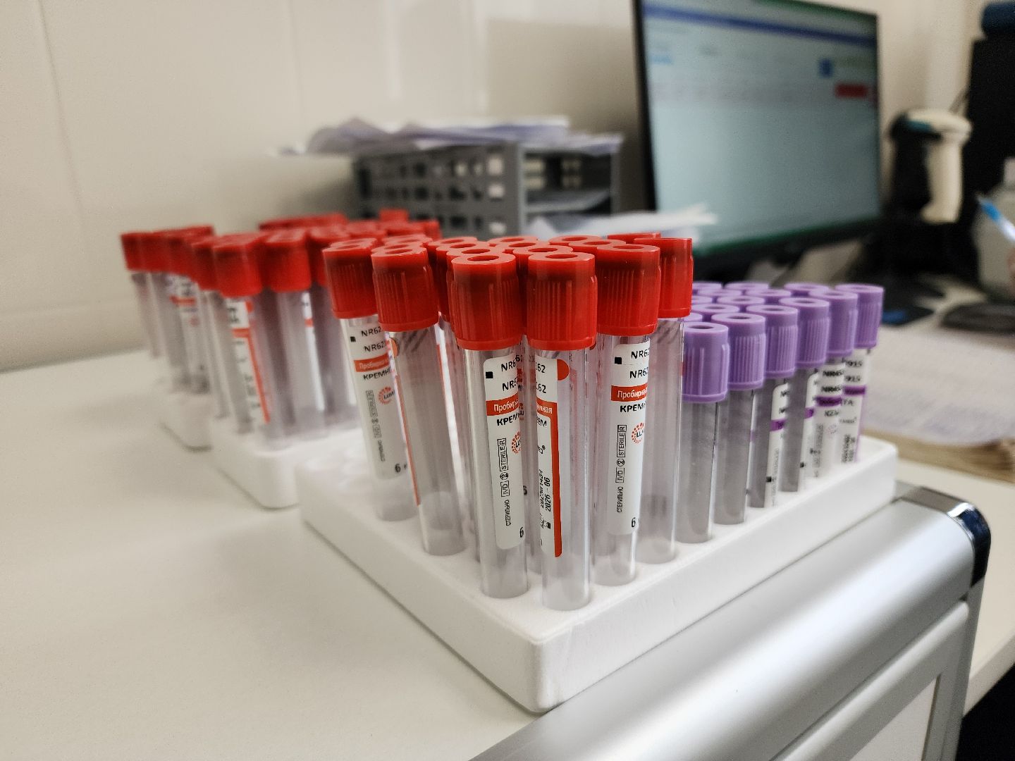 Подольск , аллергия, Пыльца березы, Полиноз,