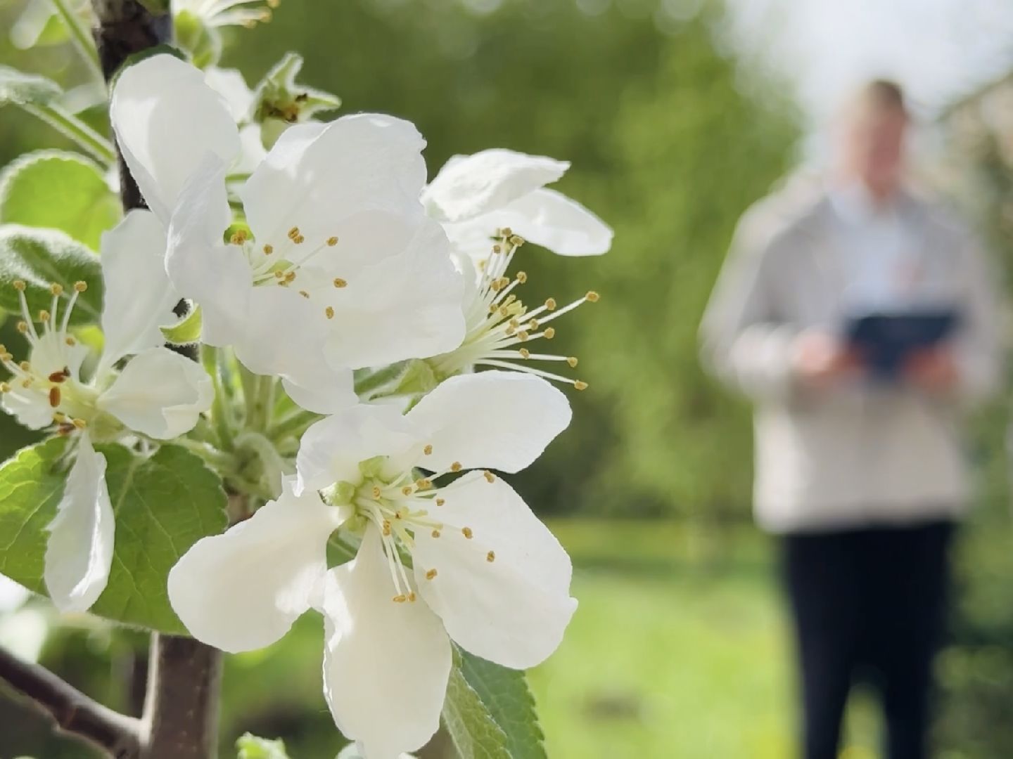 раменское, гжель, ггу, гжельский государственный университет,