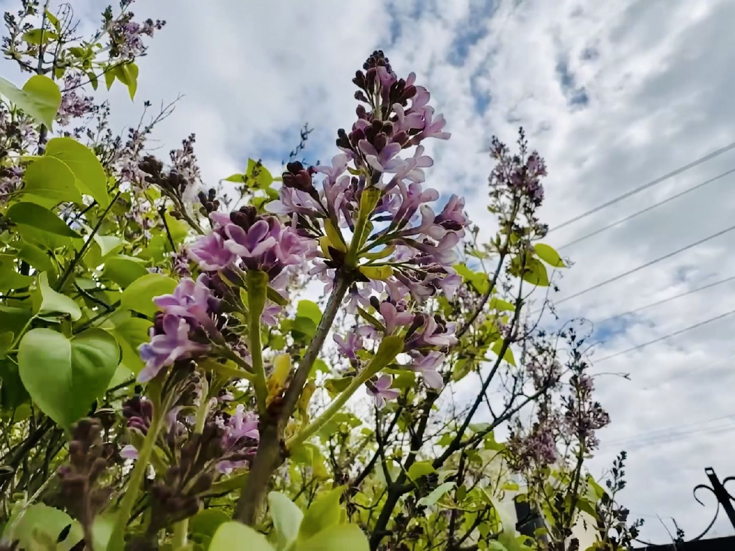 раменское, гжель, ггу, гжельский государственный университет,