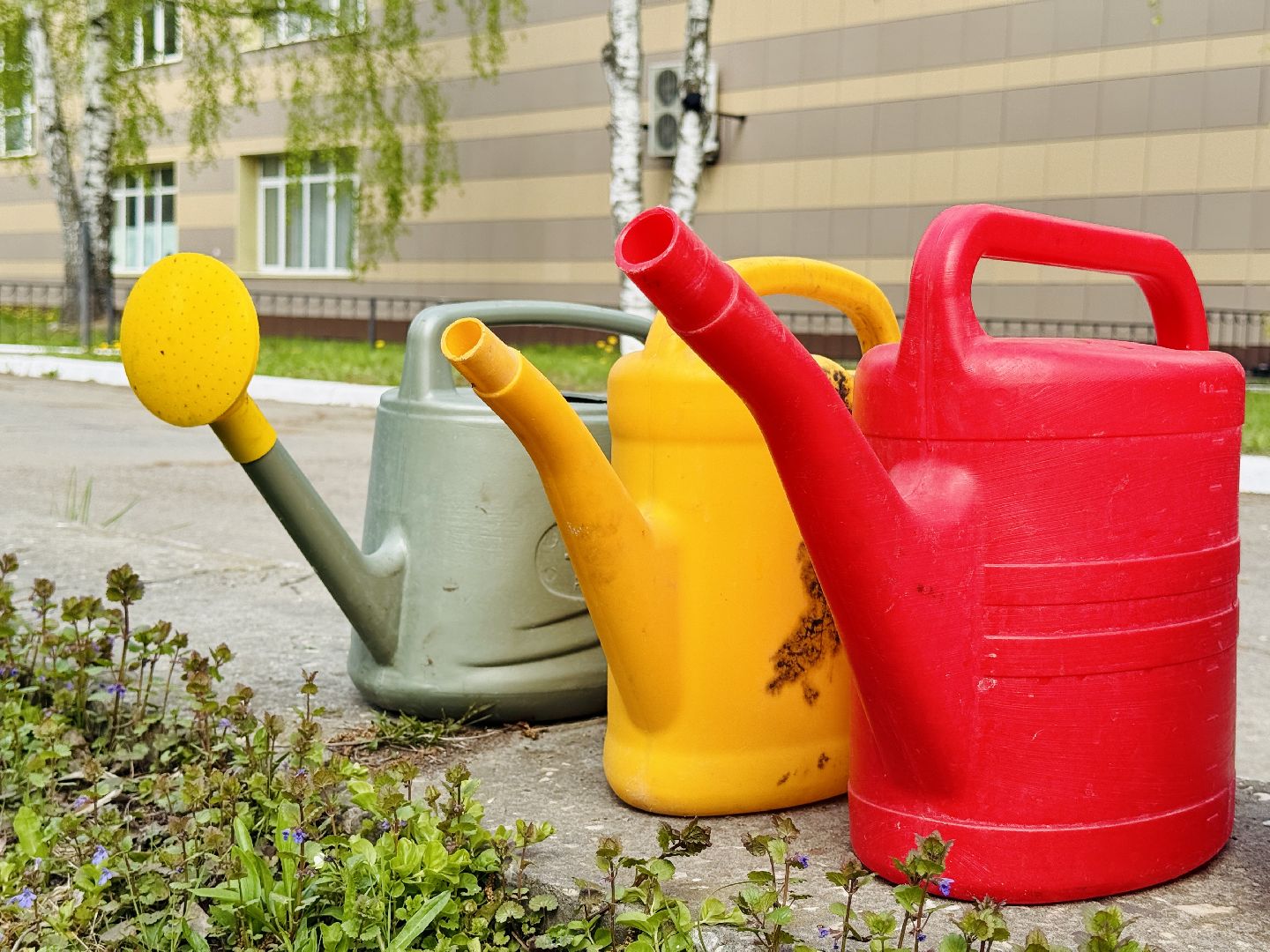 раменское, гжель, ггу, гжельский государственный университет,