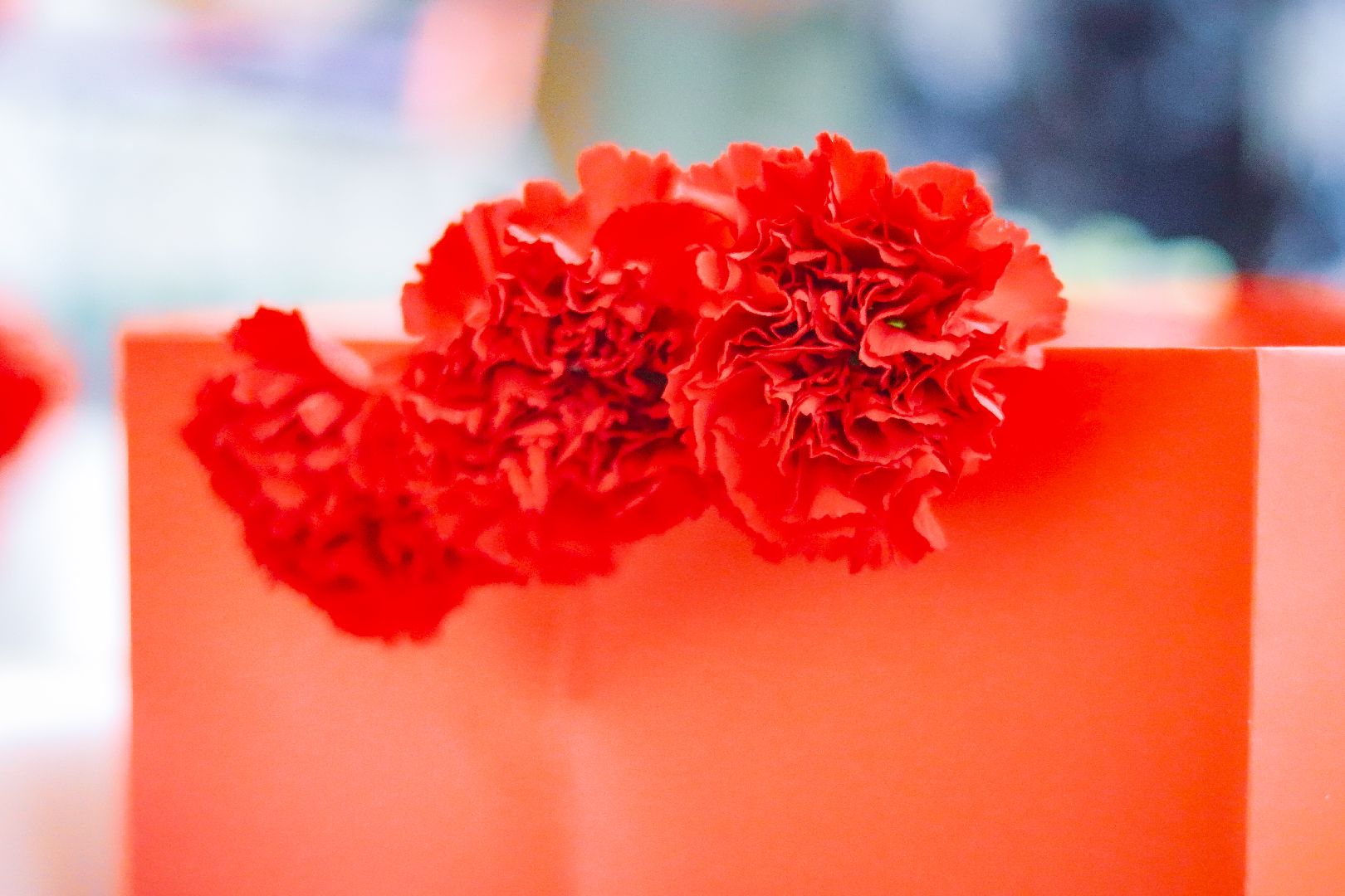 клин, общество, день победы, ветераны, табличка ветерану,