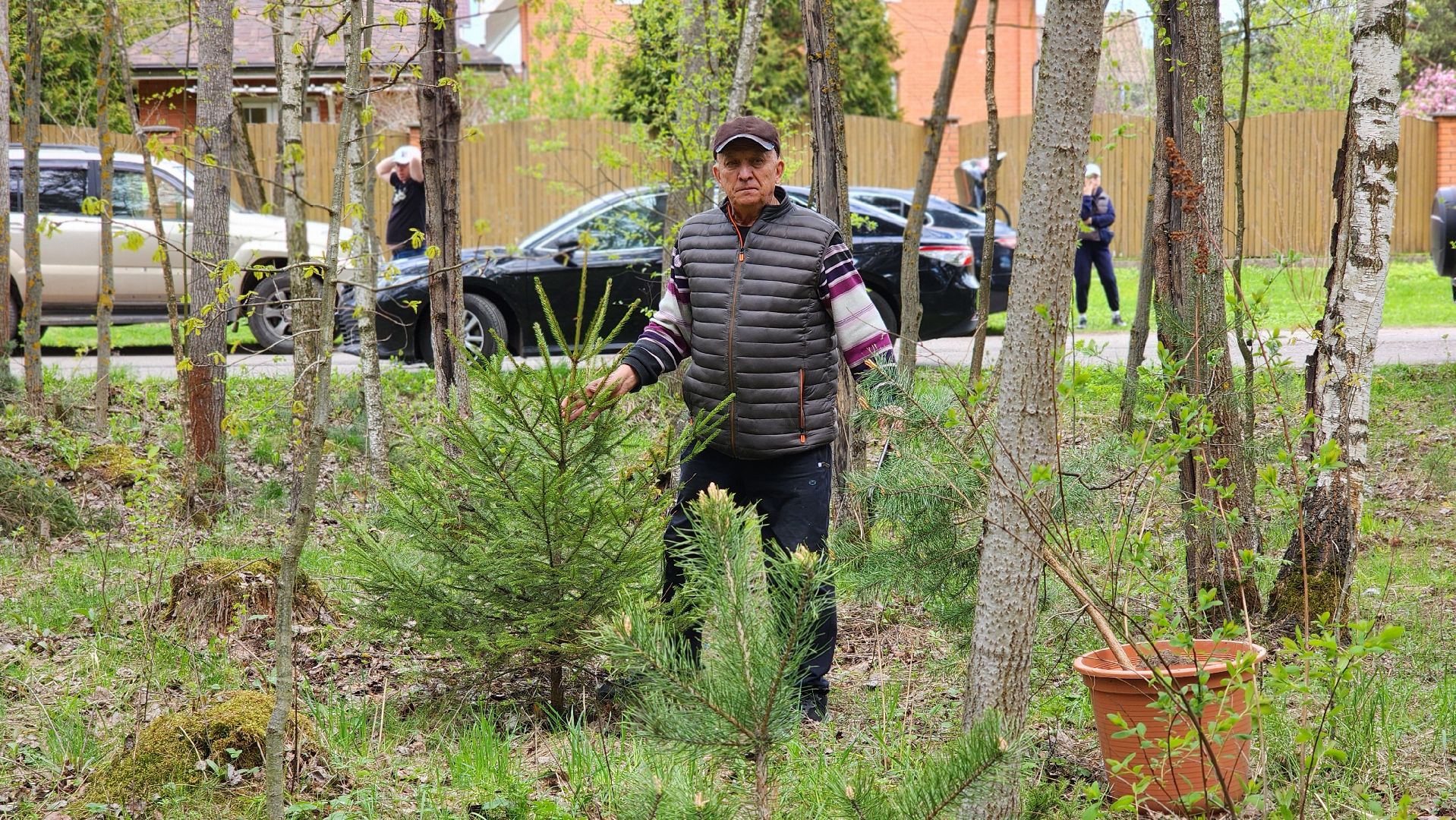 сад памяти, экологическая акция, экология, лосино-петровский,