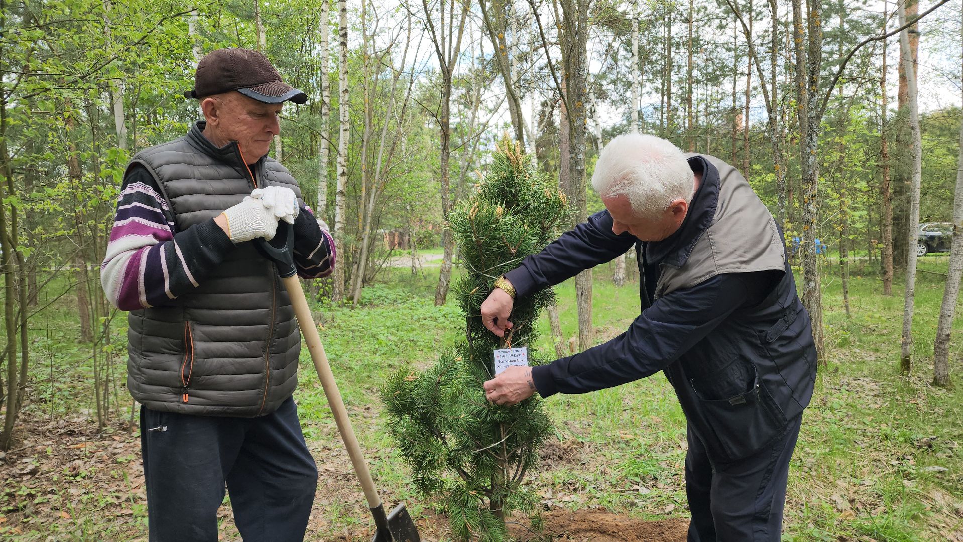 сад памяти, экологическая акция, экология, лосино-петровский,