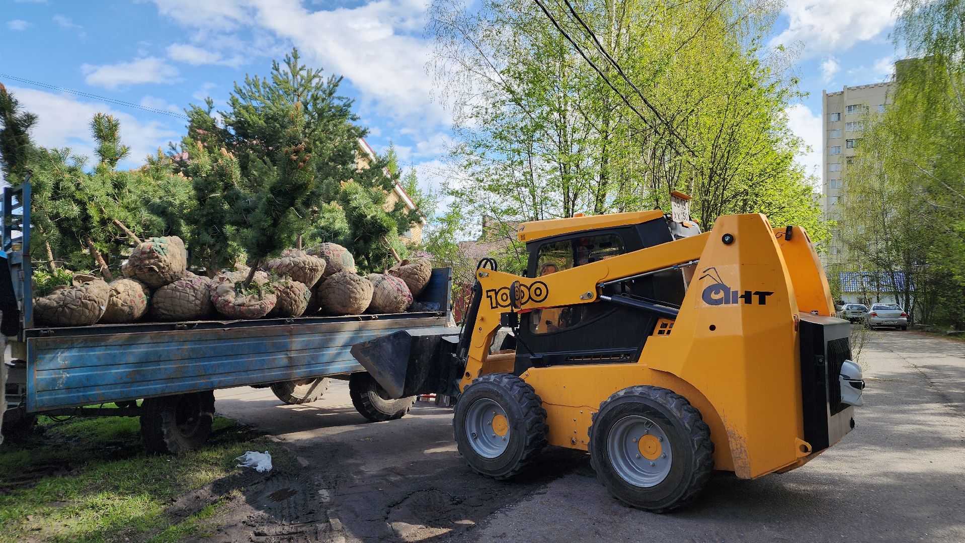 сад памяти, экологическая акция, экология, лосино-петровский,