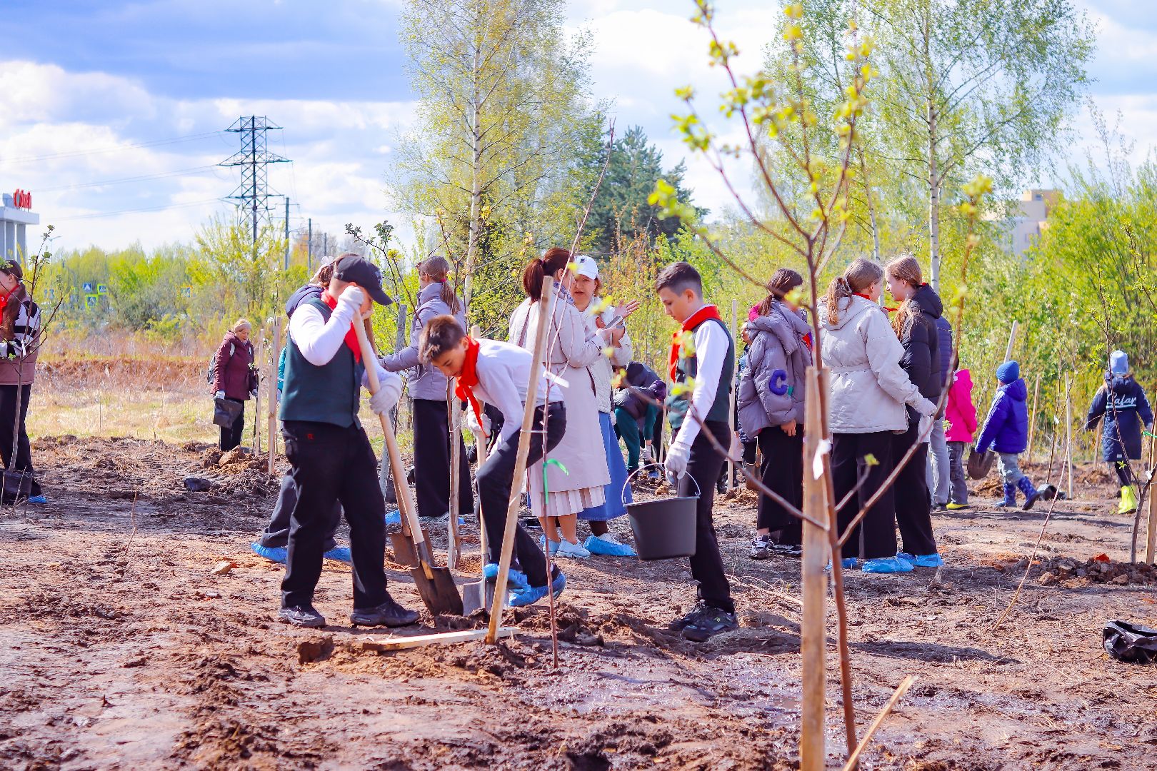 клин, общество, благоустройство, высадка яблонь, день победы,