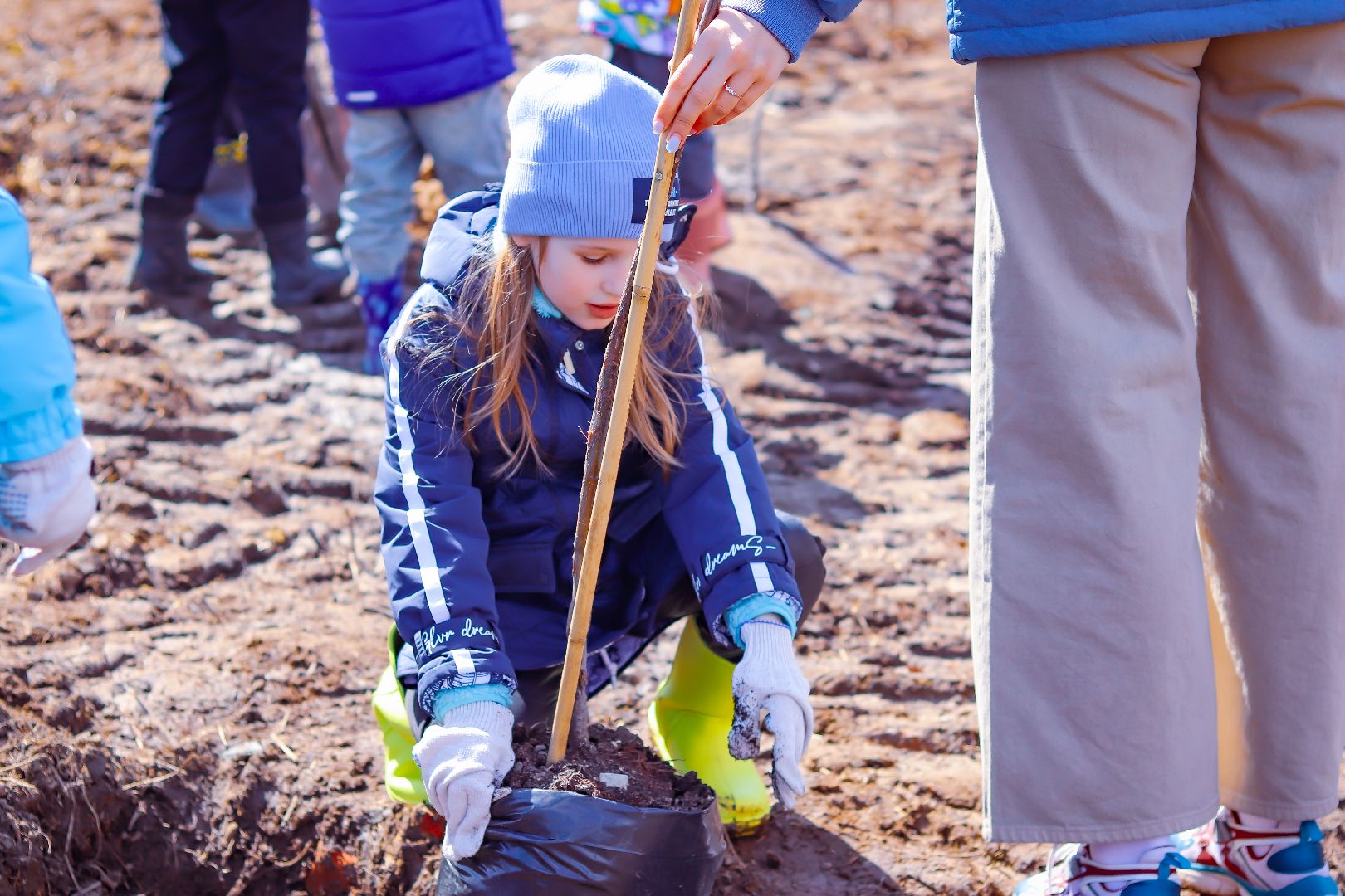 клин, общество, благоустройство, высадка яблонь, день победы,