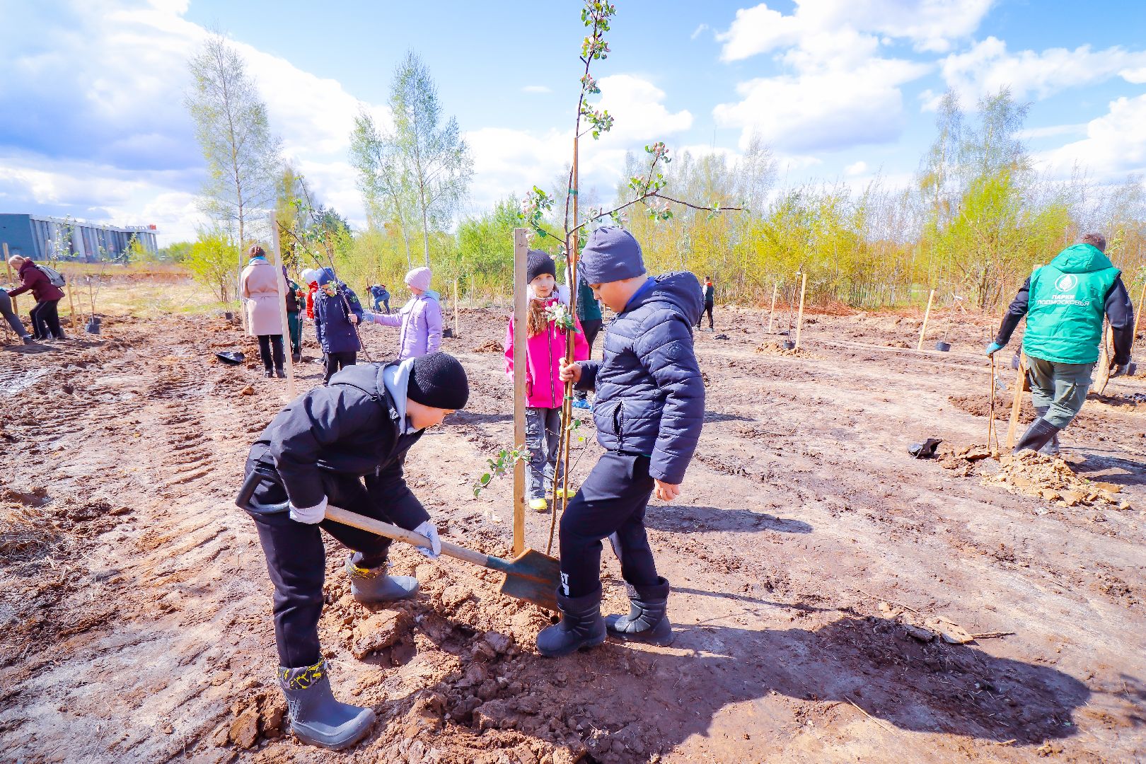 клин, общество, благоустройство, высадка яблонь, день победы,