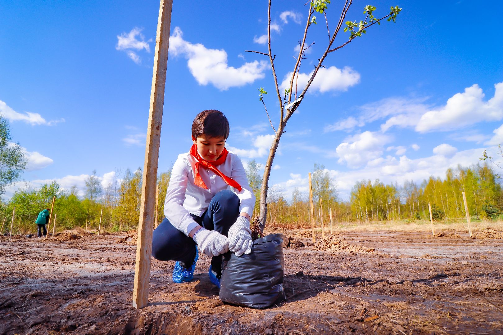 клин, общество, благоустройство, высадка яблонь, день победы,