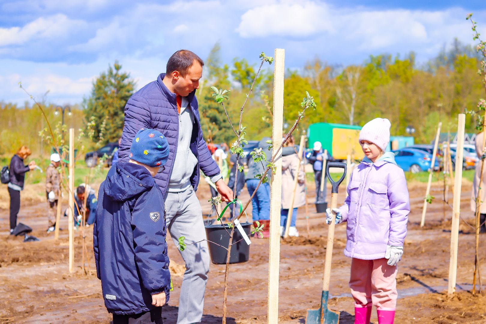 клин, общество, благоустройство, высадка яблонь, день победы,