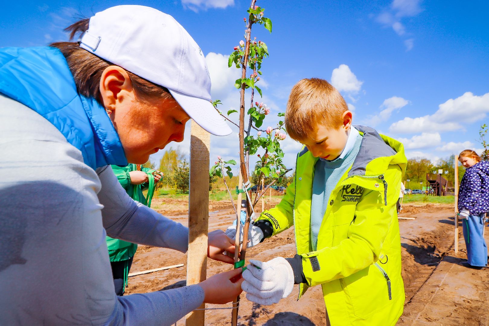 клин, общество, благоустройство, высадка яблонь, день победы,