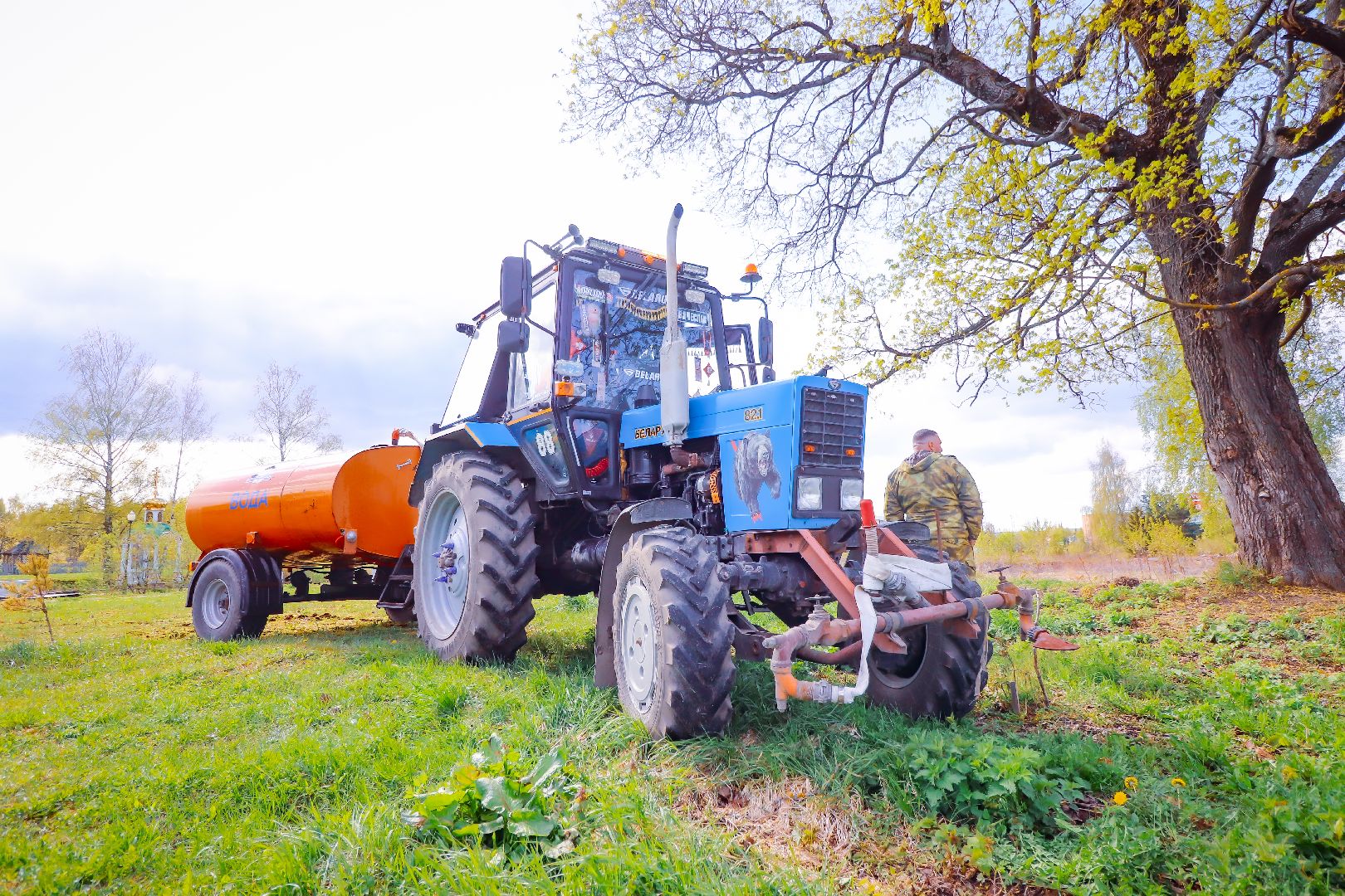 клин, общество, благоустройство, высадка яблонь, день победы,