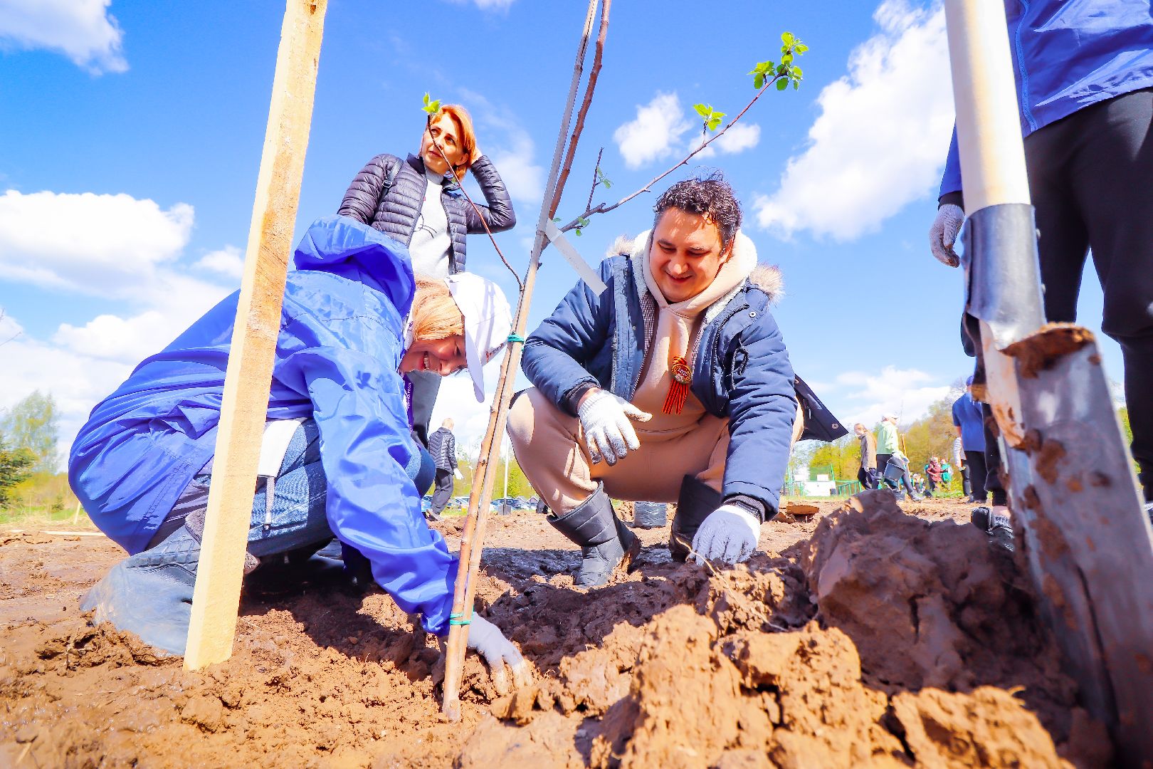 клин, общество, благоустройство, высадка яблонь, день победы,