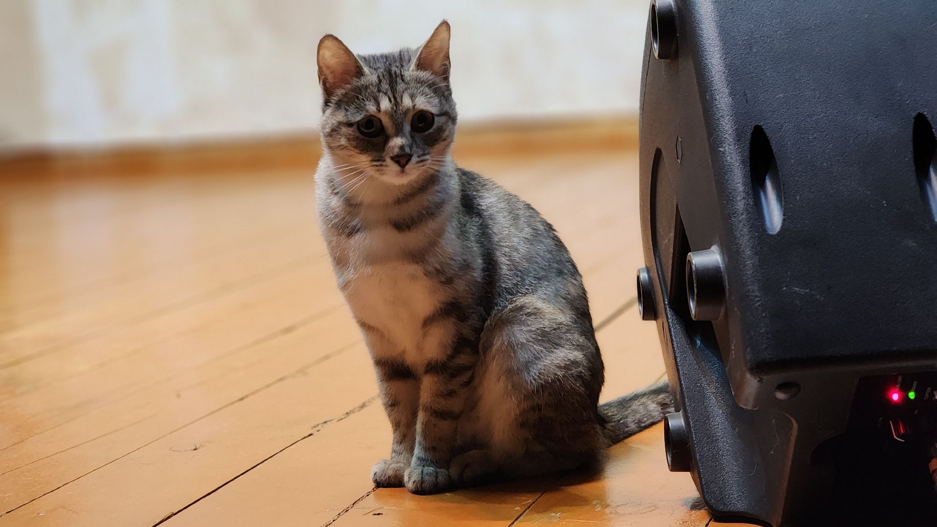 волоколамск, день победы, концерт,