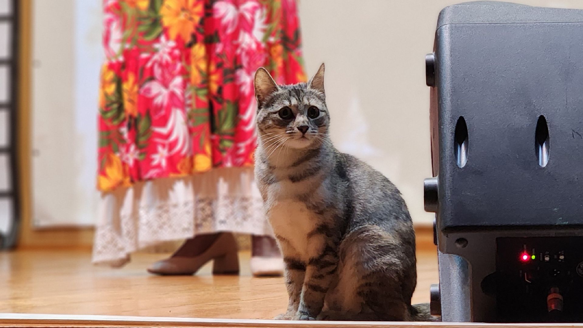 волоколамск, день победы, концерт,