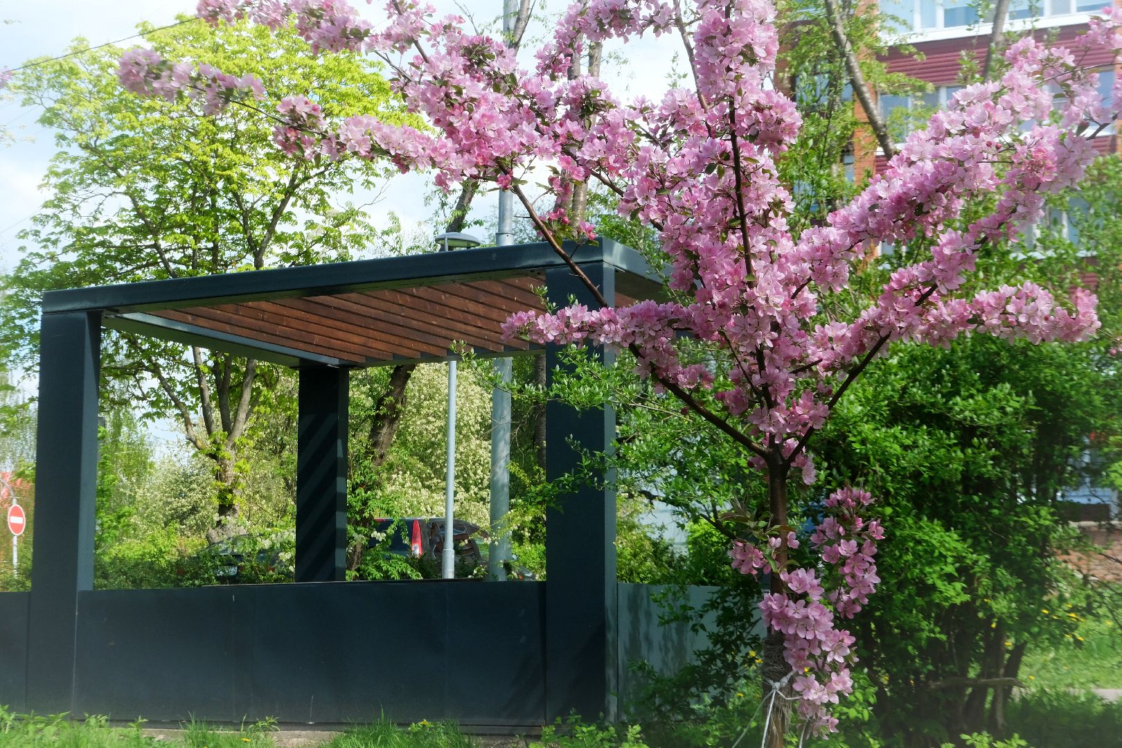 пущино, благоустройсво, серпухов,