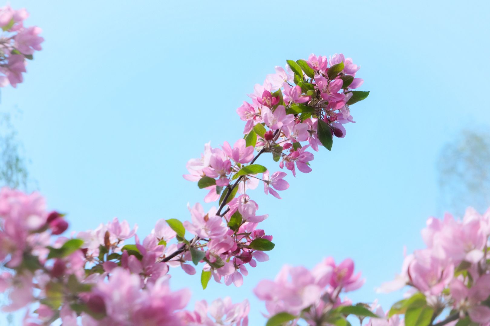 пущино, благоустройсво, серпухов,