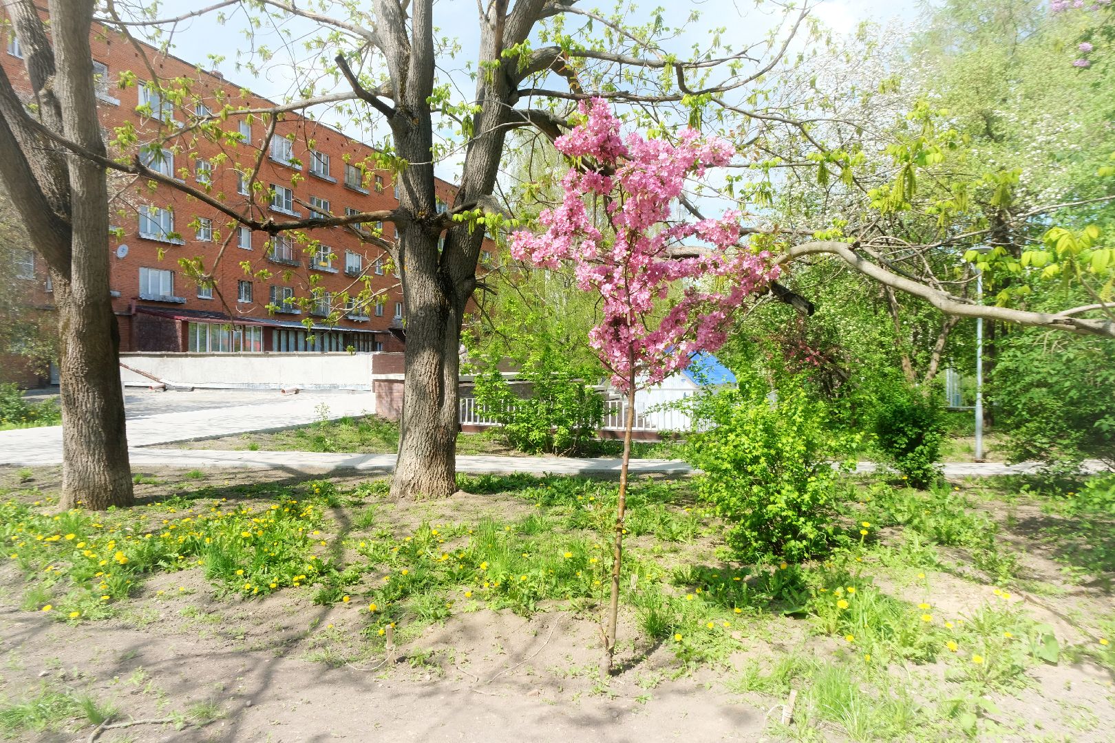 пущино, благоустройсво, серпухов,