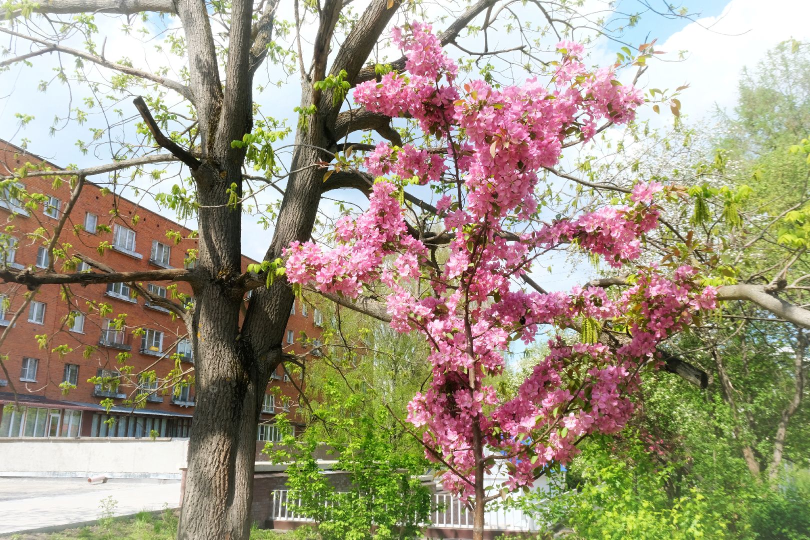 пущино, благоустройсво, серпухов,