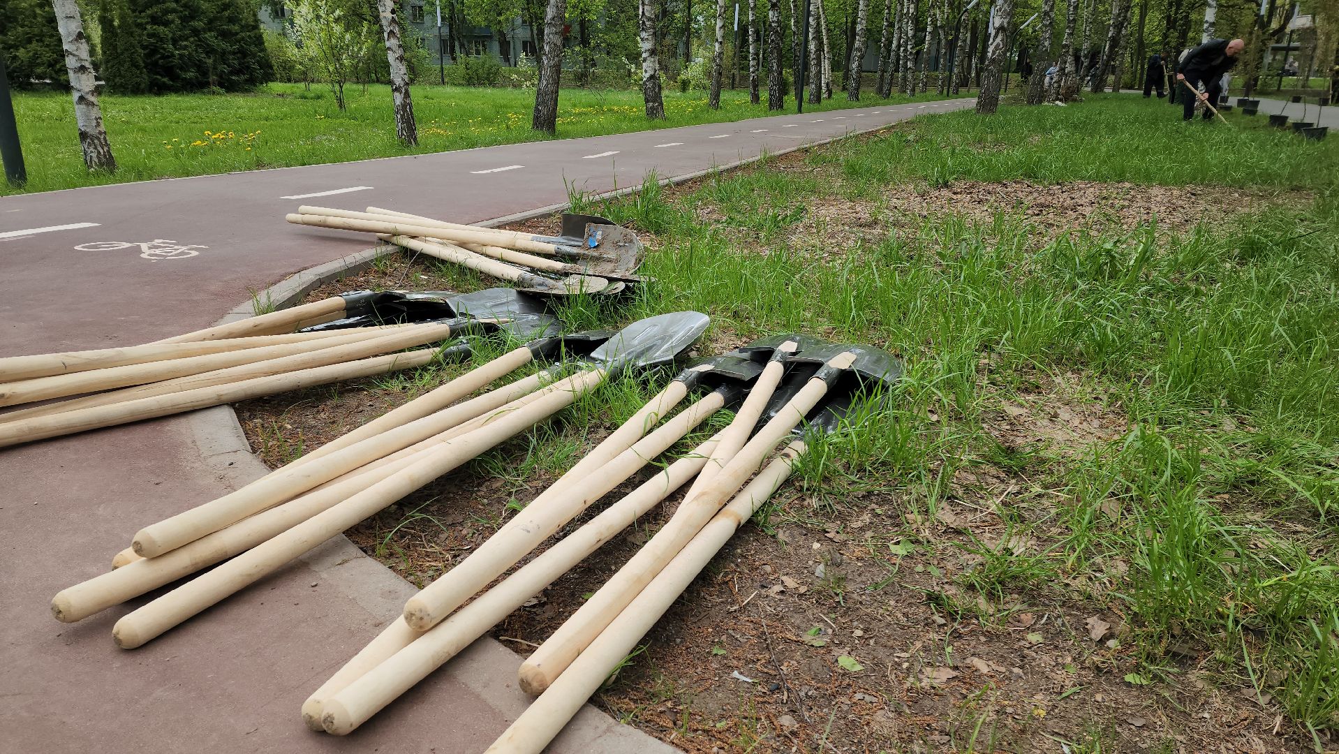 сад памяти, Лобня, Высадка деревьев ,