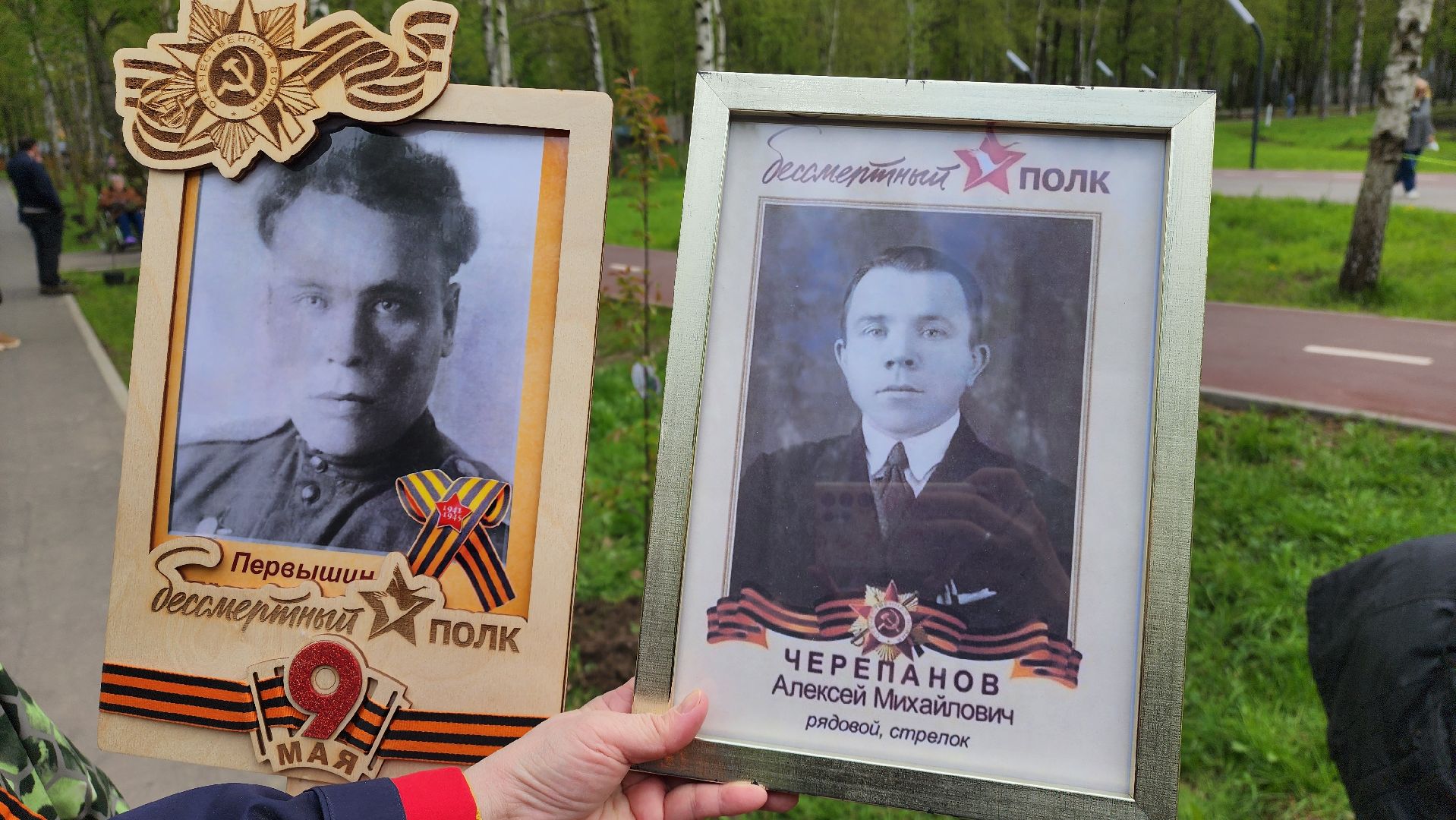 сад памяти, Лобня, Высадка деревьев ,