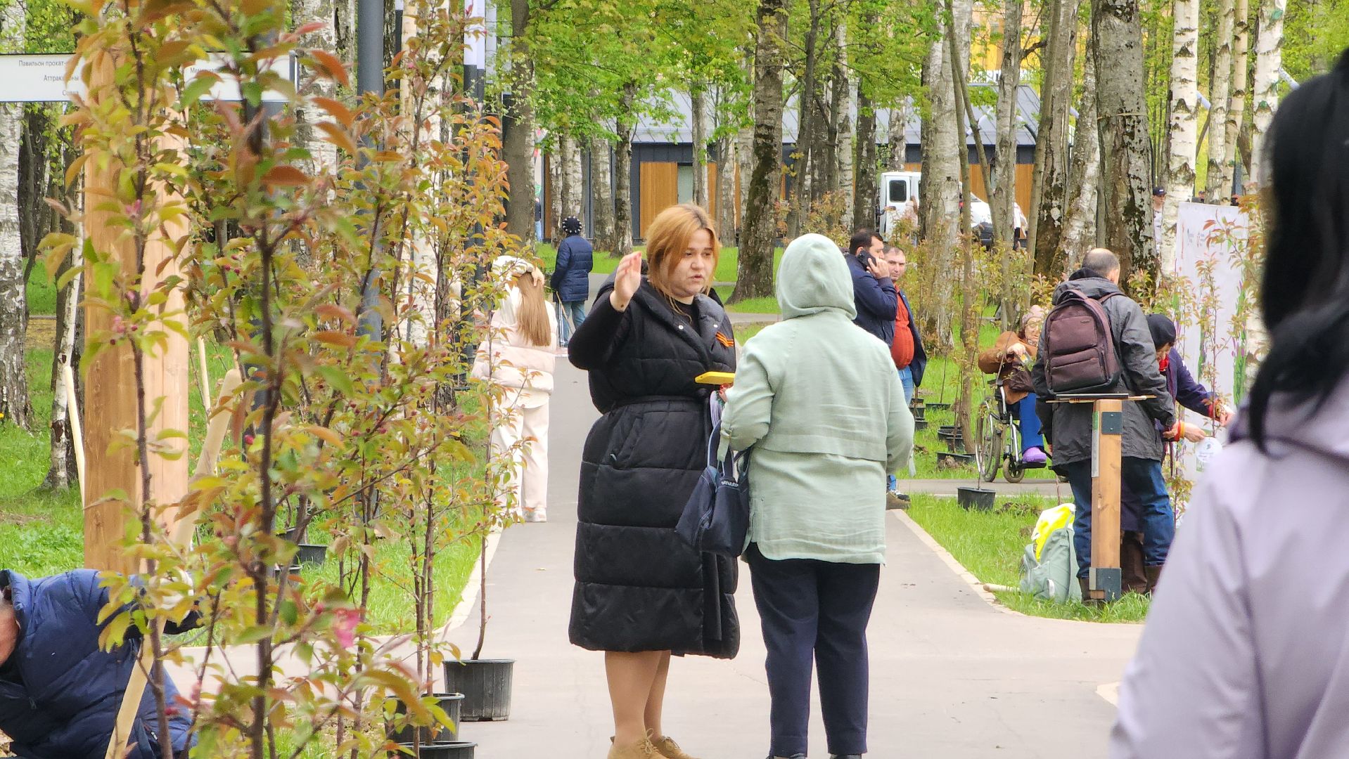 сад памяти, Лобня, Высадка деревьев ,