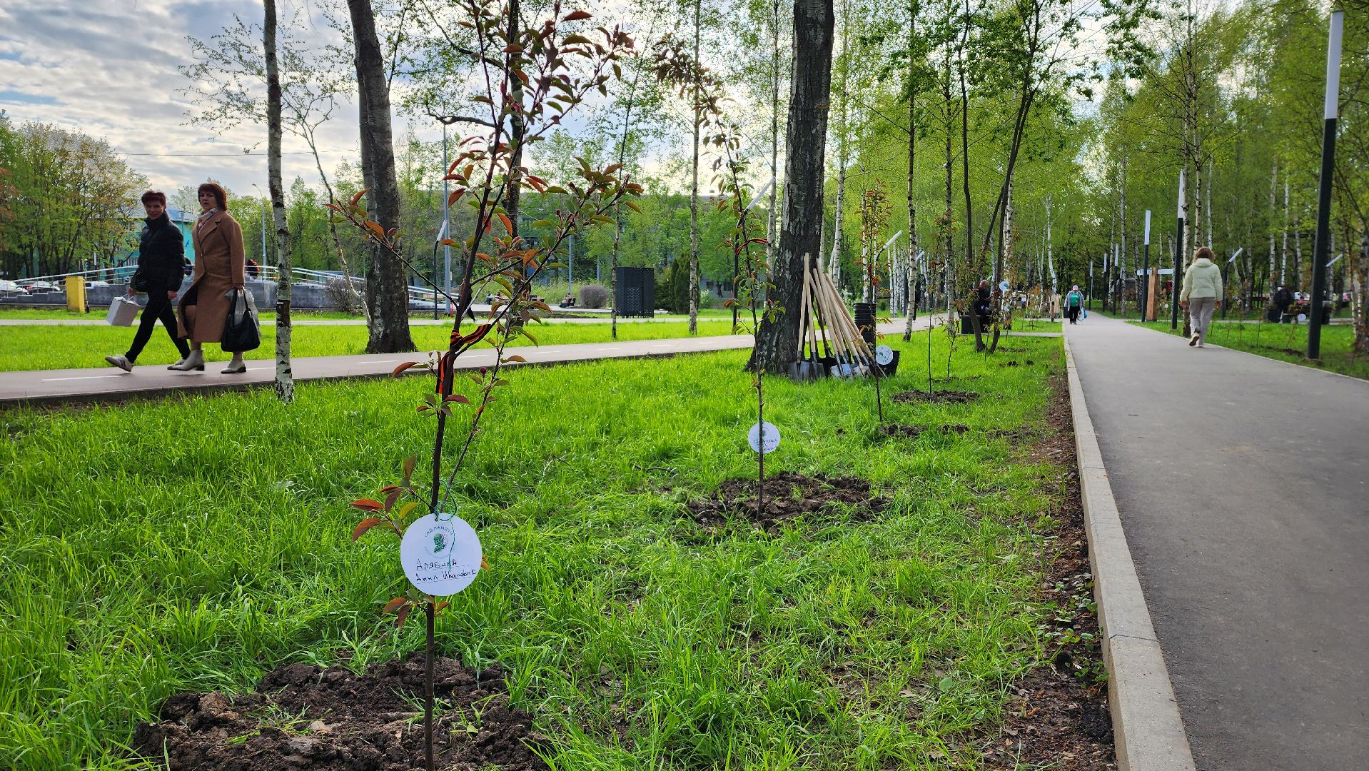 сад памяти, Лобня, Высадка деревьев ,