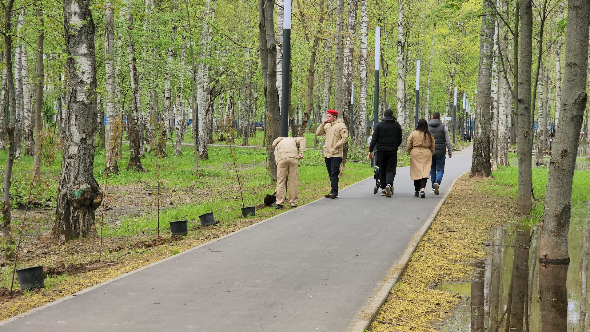 сад памяти, Лобня, Высадка деревьев ,