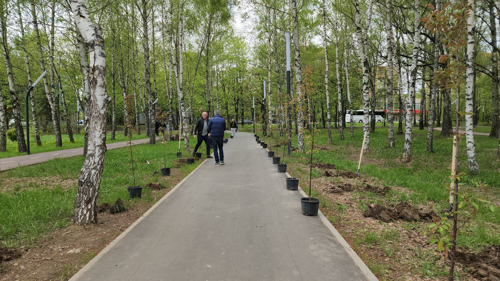 сад памяти, Лобня, Высадка деревьев ,