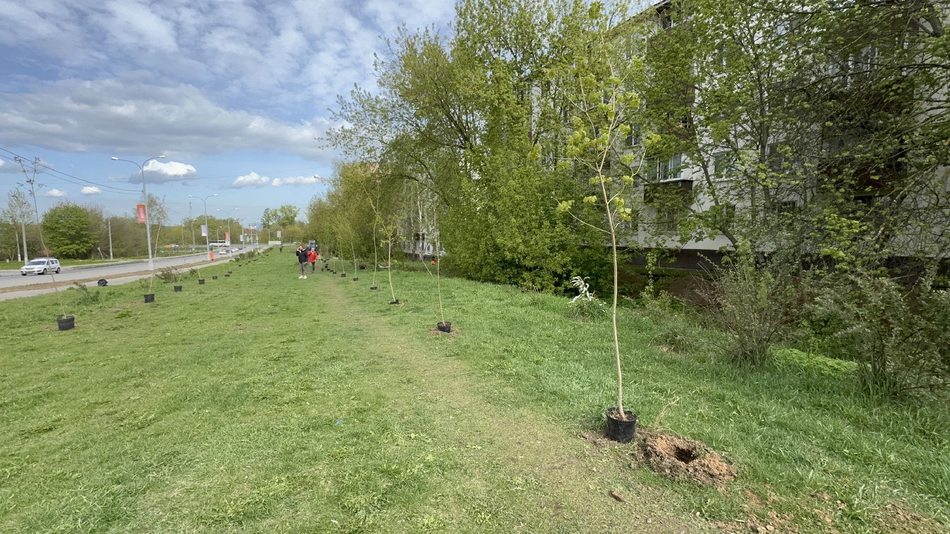 солнечногорск, сад памяти, жители, высадка деревьев, праздник,