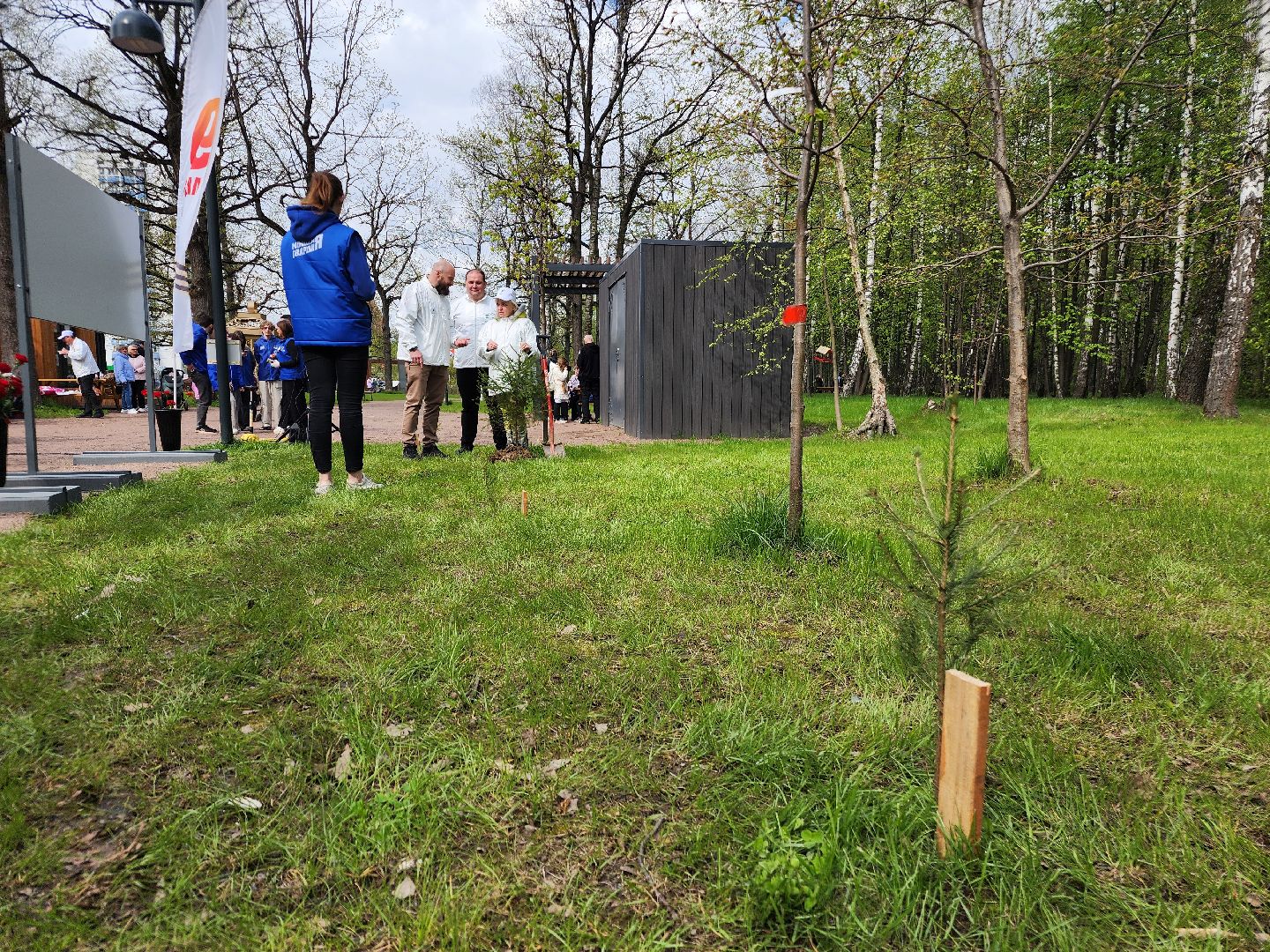 фрязино, акция памяти погибших, посадка деревьев, сво,