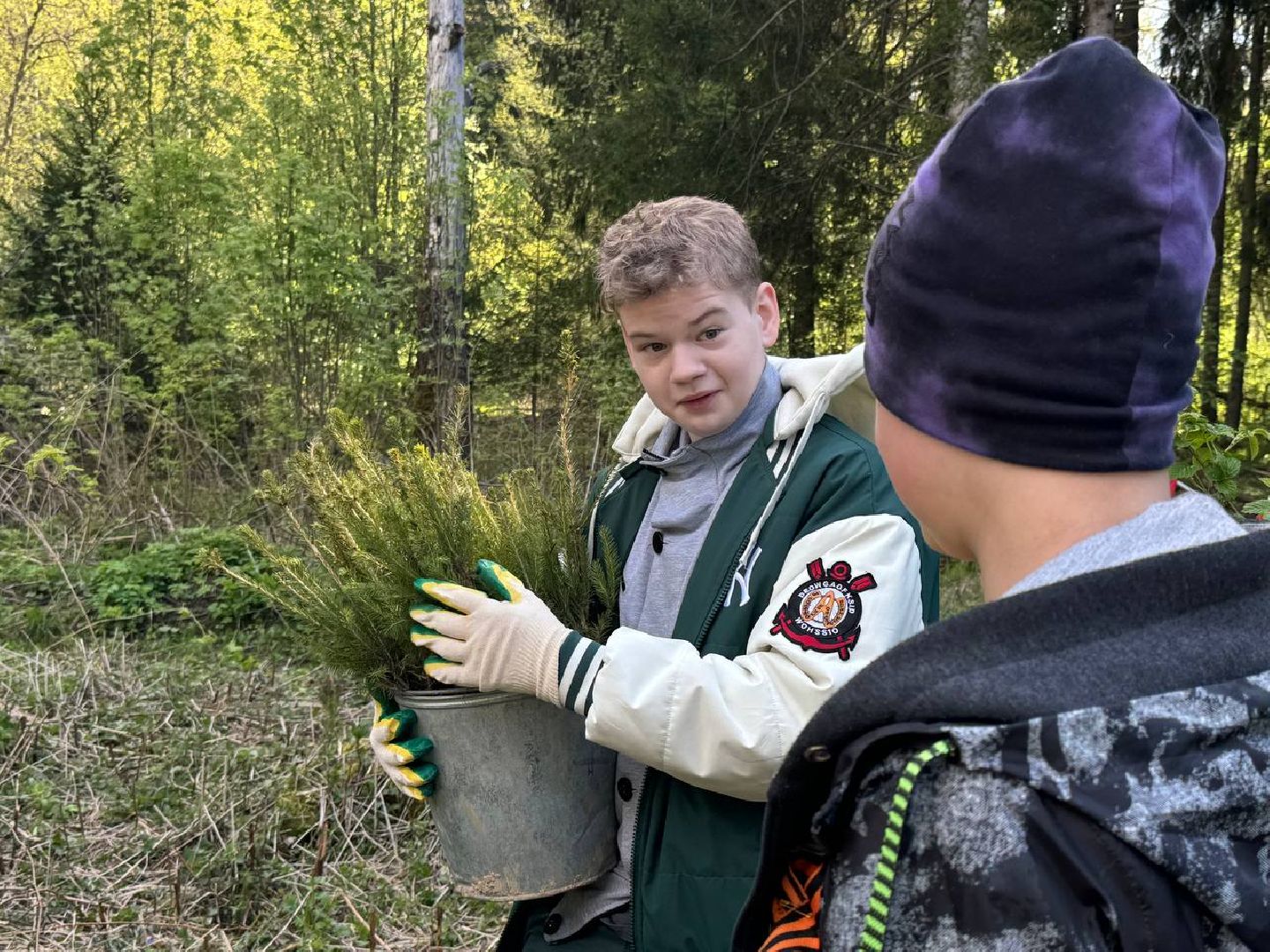 можайск, можайский муниципальный округ, сад памяти, акция, патриотическая акция, международная акция, посадка елей,