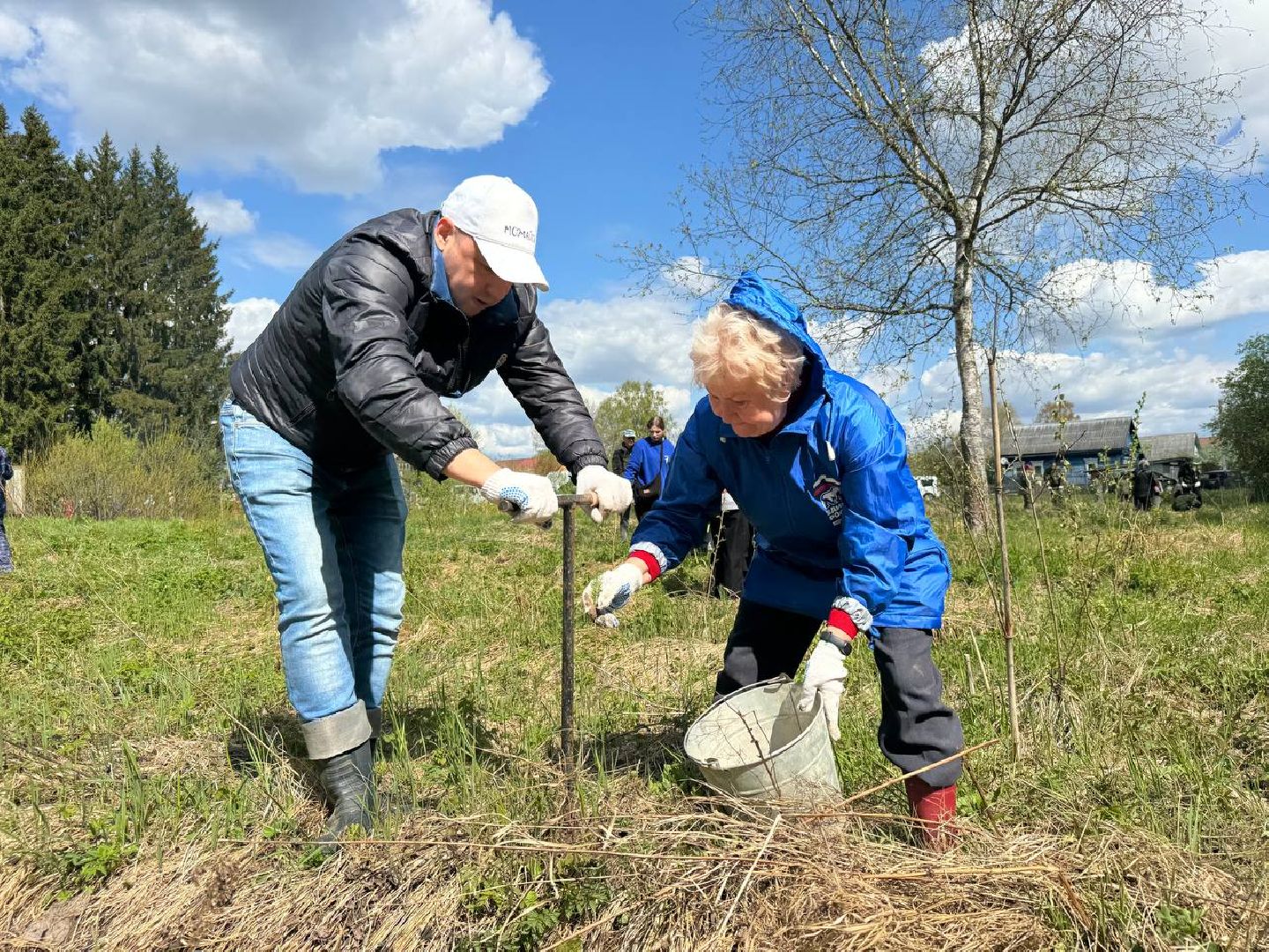 можайск, можайский муниципальный округ, сад памяти, акция, патриотическая акция, международная акция, посадка елей,