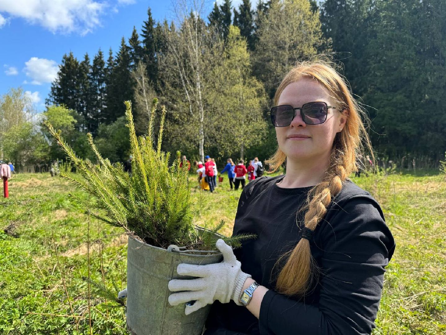 можайск, можайский муниципальный округ, сад памяти, акция, патриотическая акция, международная акция, посадка елей,