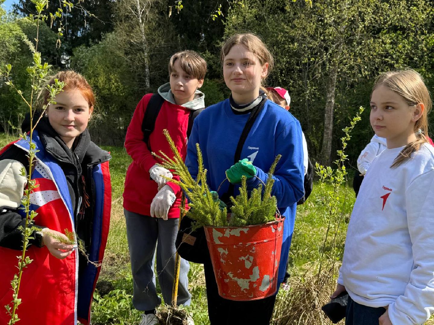 можайск, можайский муниципальный округ, сад памяти, акция, патриотическая акция, международная акция, посадка елей,