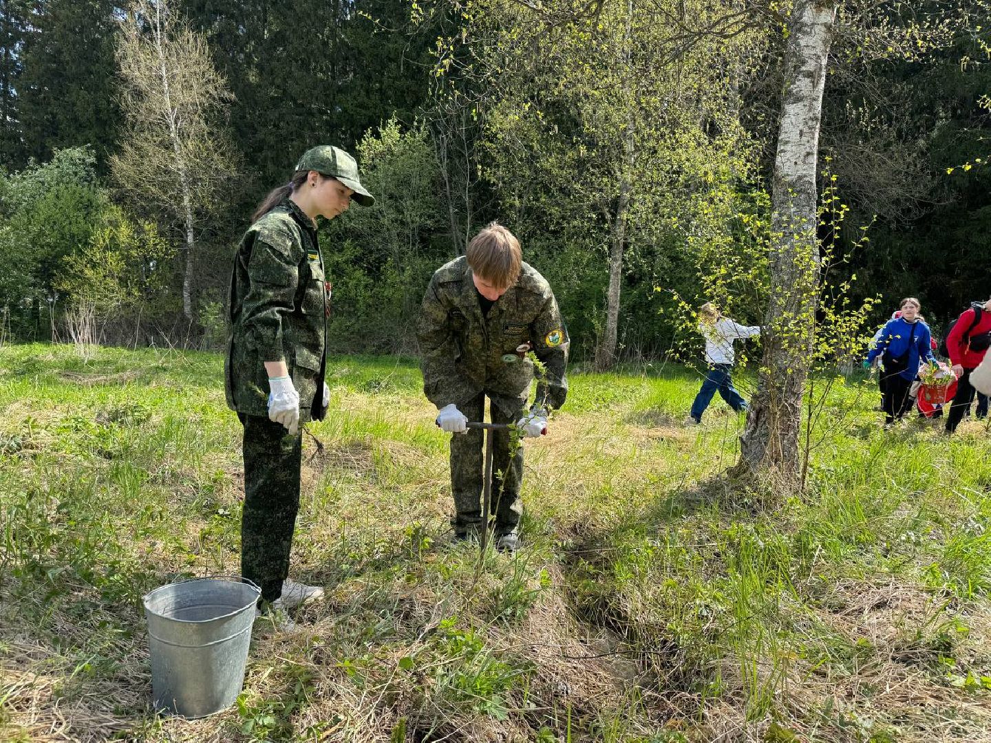 можайск, можайский муниципальный округ, сад памяти, акция, патриотическая акция, международная акция, посадка елей,