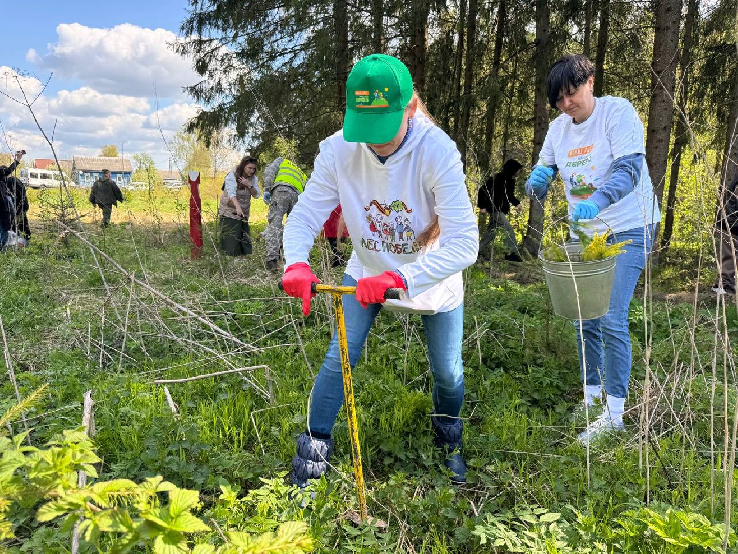 можайск, можайский муниципальный округ, сад памяти, акция, патриотическая акция, международная акция, посадка елей,