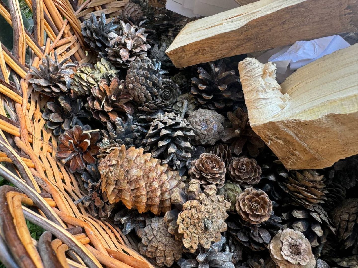 можайск, можайский муниципальный округ, сад памяти, акция, патриотическая акция, международная акция, посадка елей,