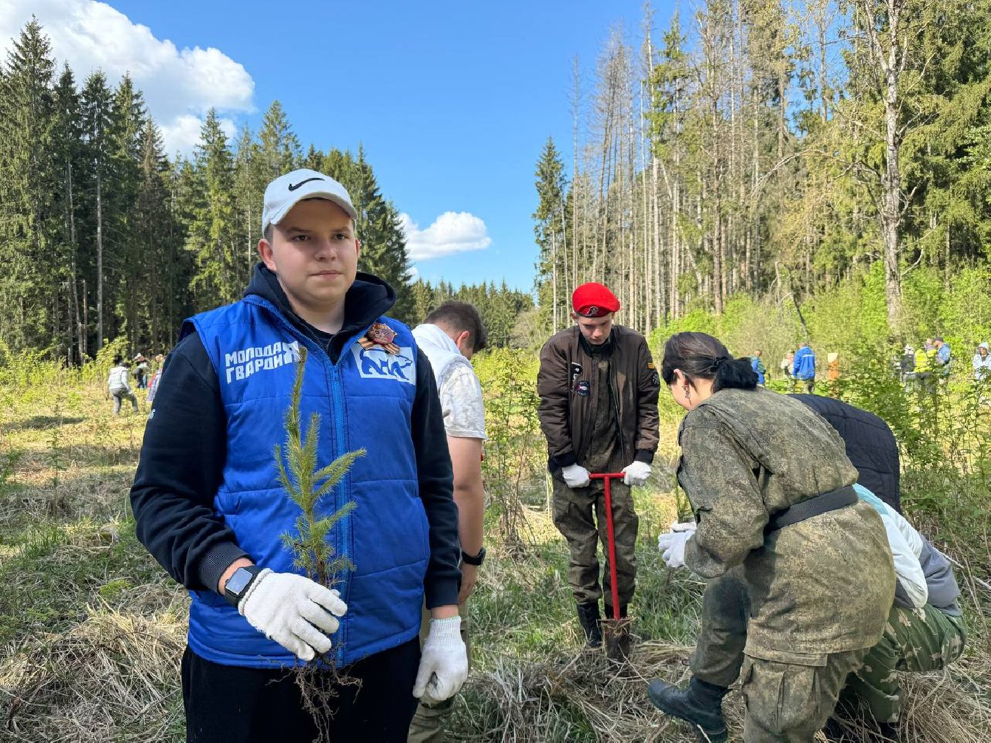 можайск, можайский муниципальный округ, сад памяти, акция, патриотическая акция, международная акция, посадка елей,