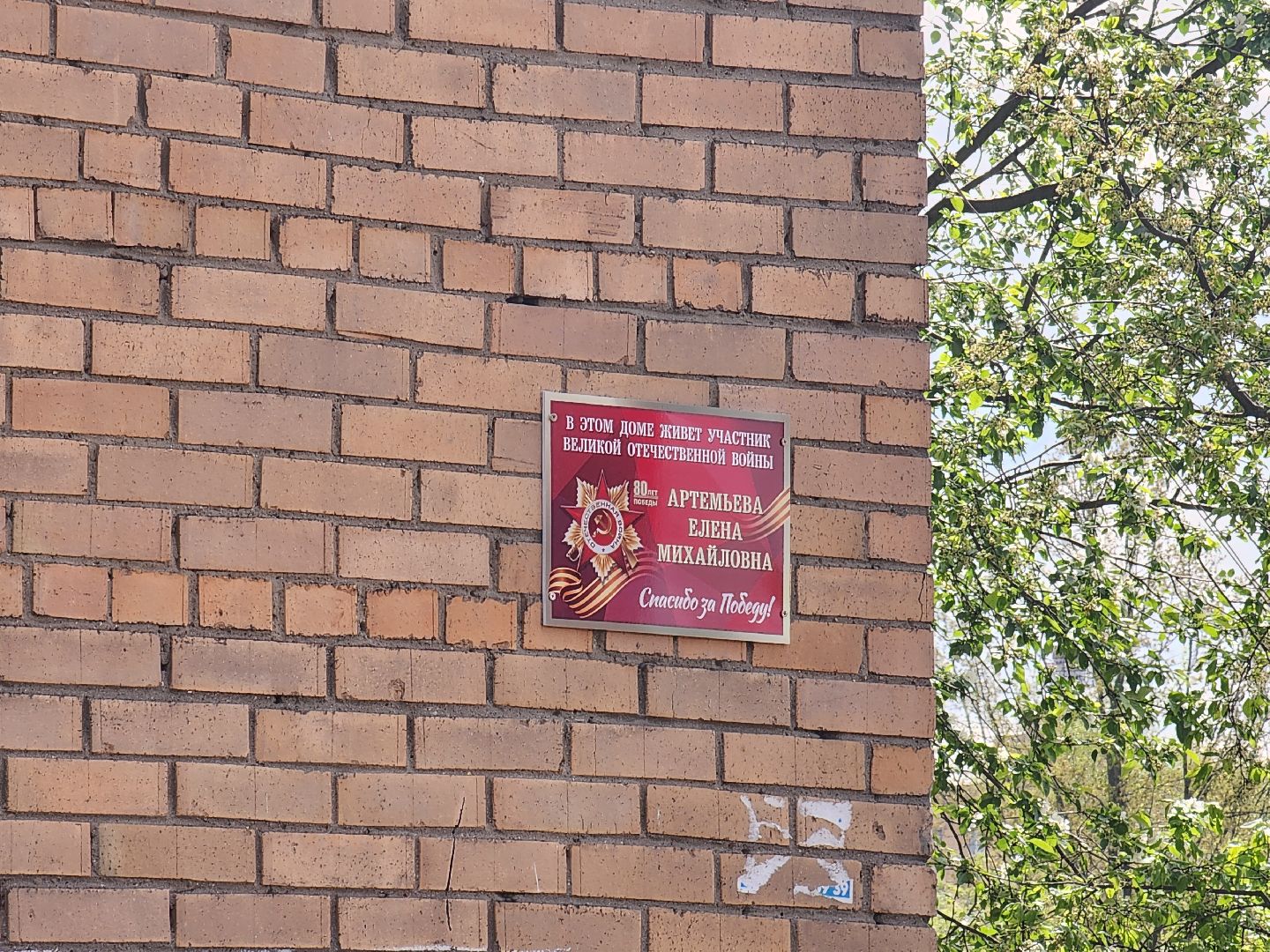 память, таблички, мытищи, ветеран, великая отечественная война,