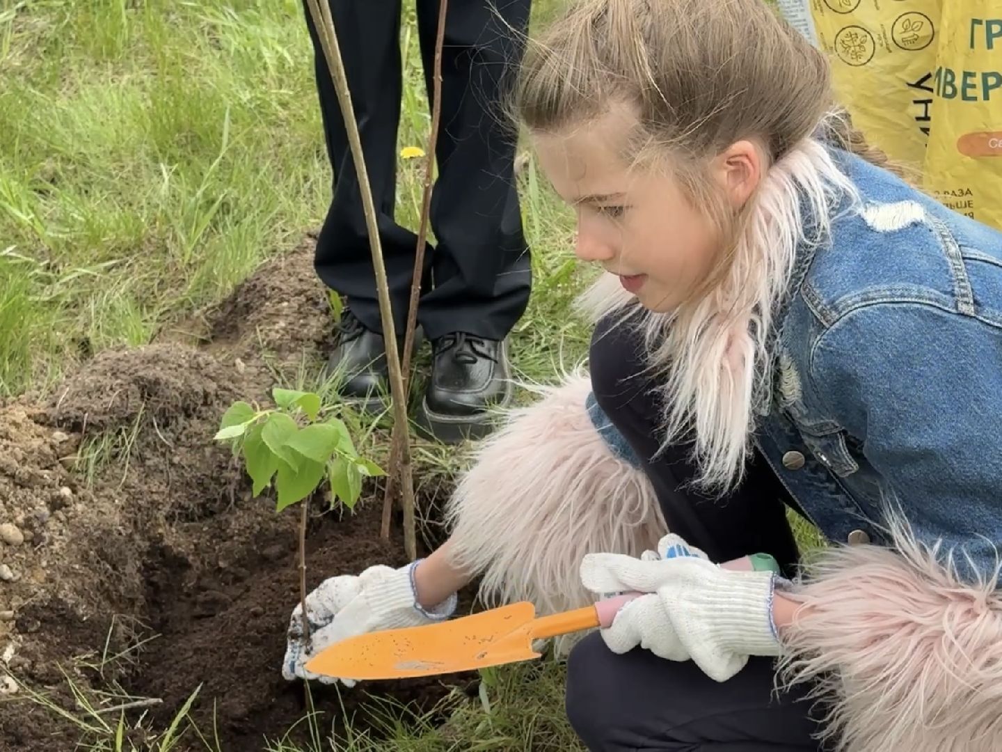 раменское, экология, экологическая акция, сад памяти,
