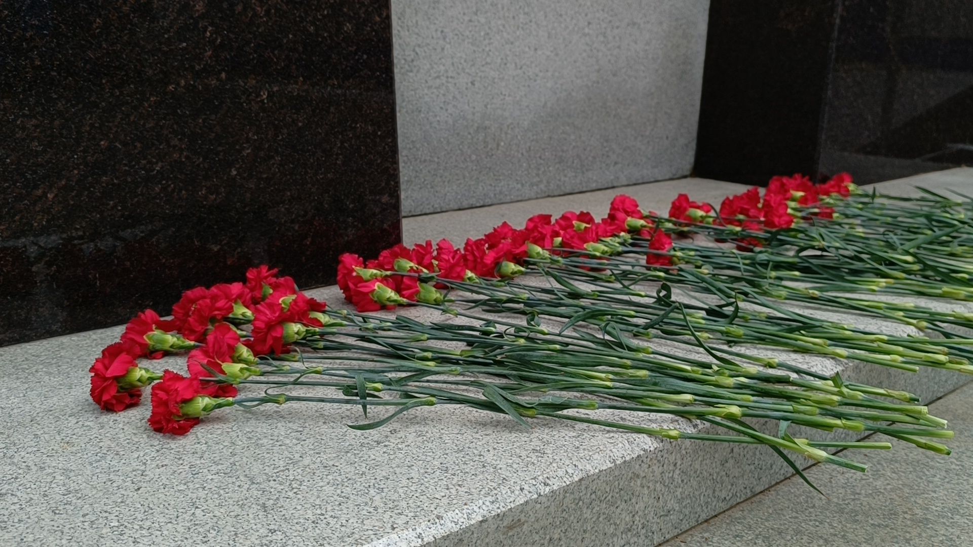 полиция, лобня, цветы,