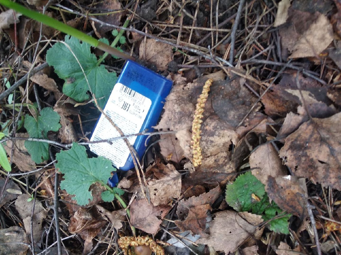 Дмитров, ЦЗВС, плоггинг