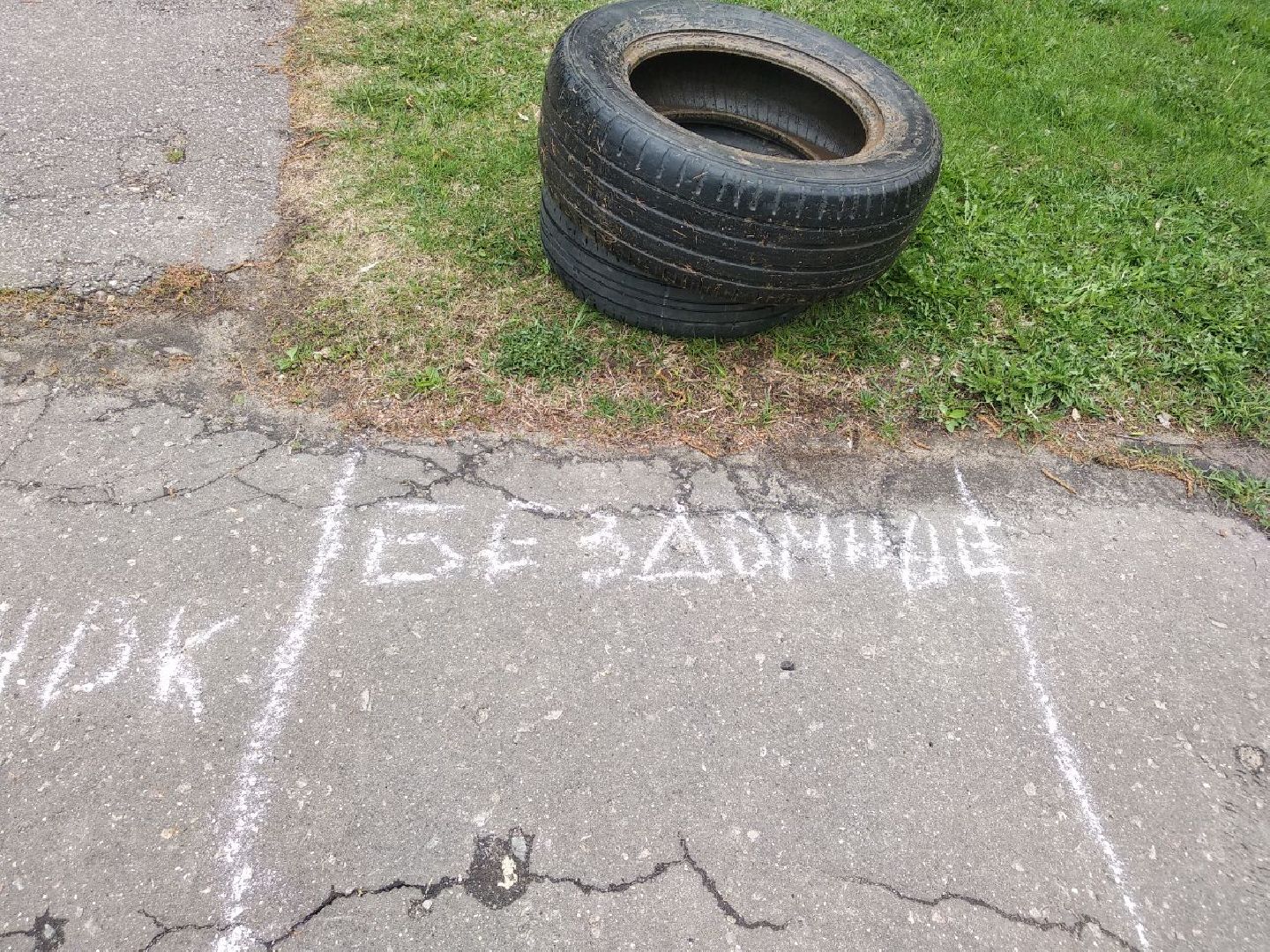 Дмитров, ЦЗВС, плоггинг