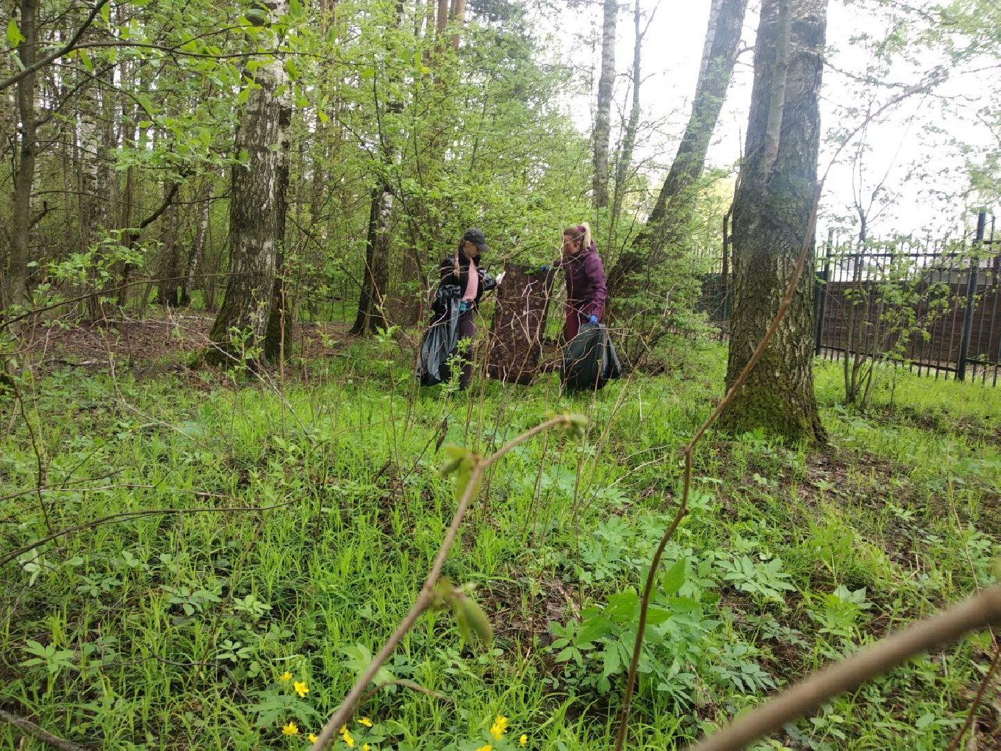 Дмитров, ЦЗВС, плоггинг