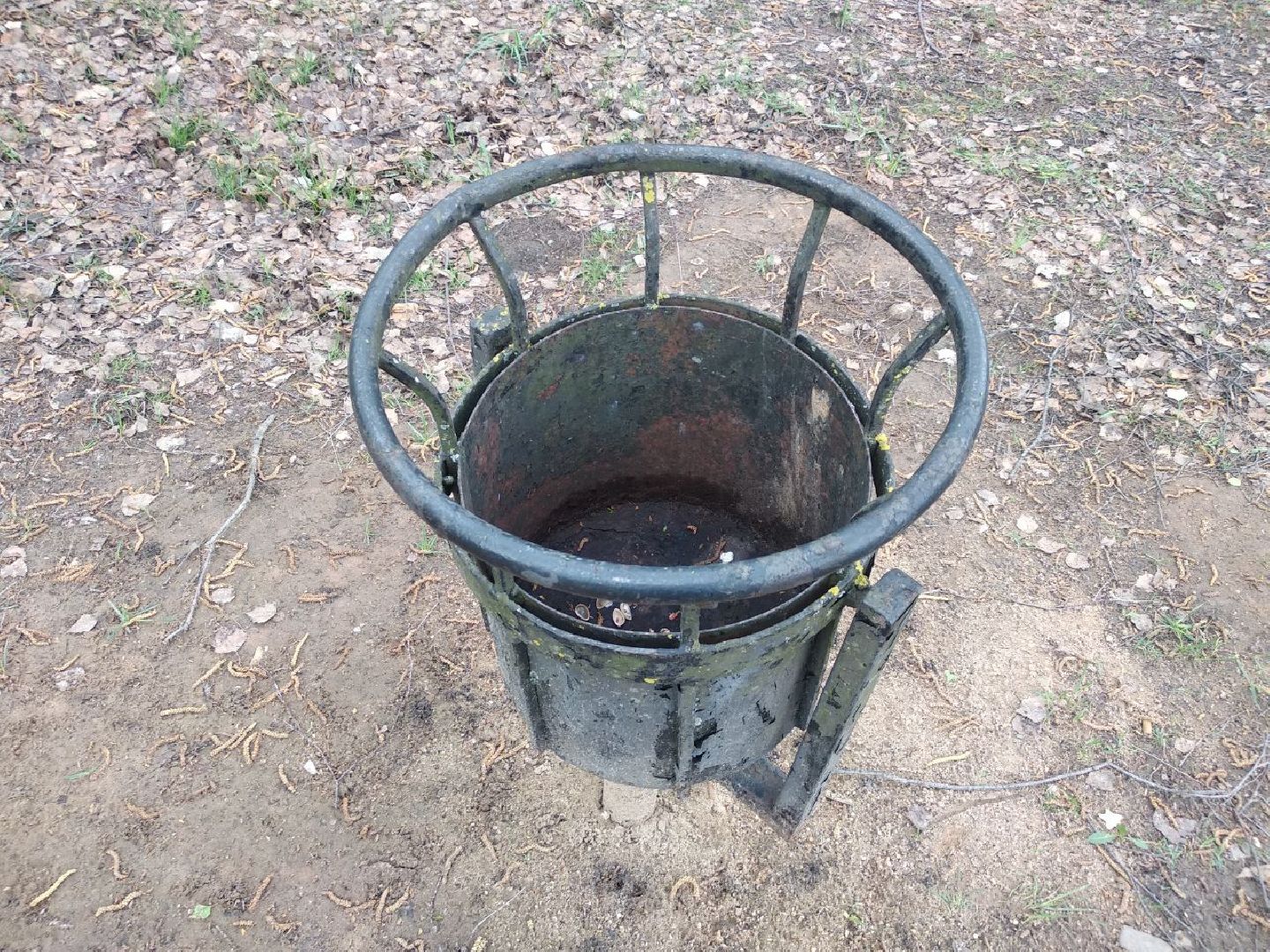 Дмитров, ЦЗВС, плоггинг