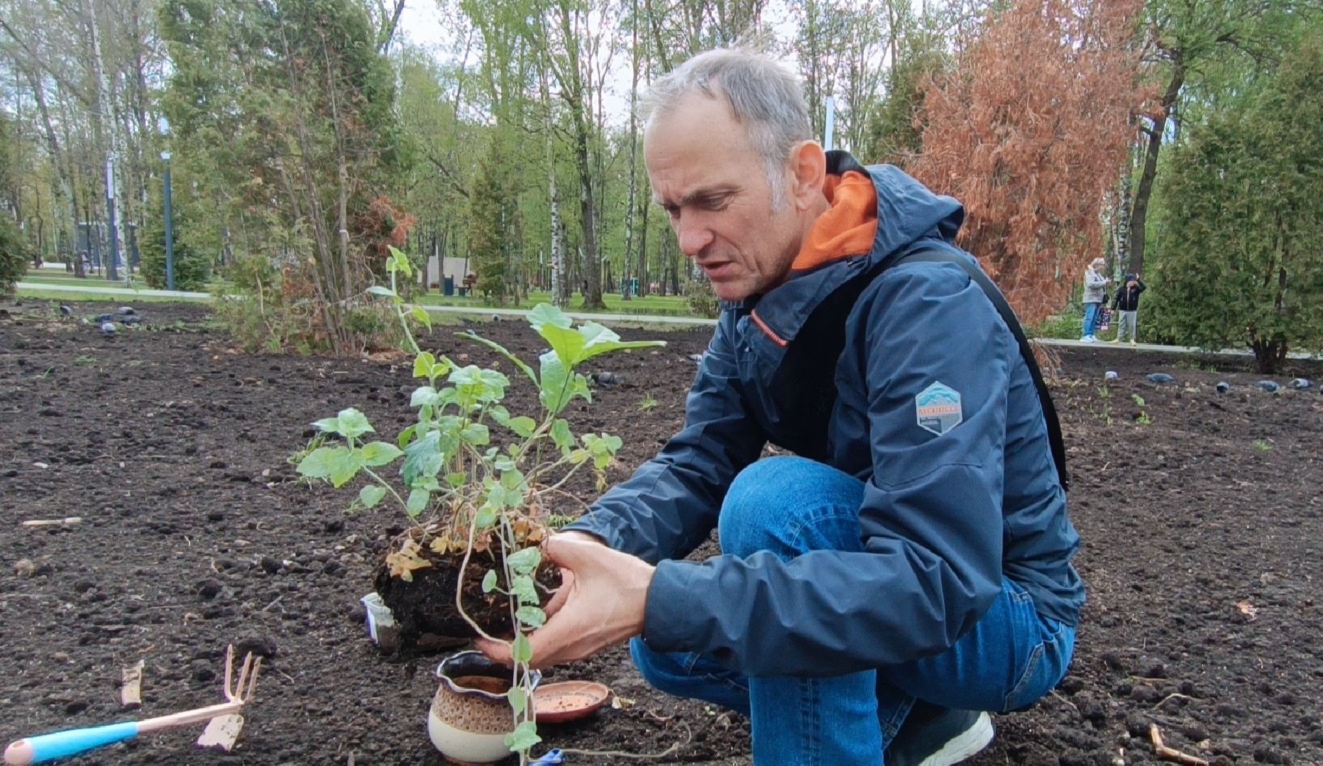 экология, дуб, лобня, парк,