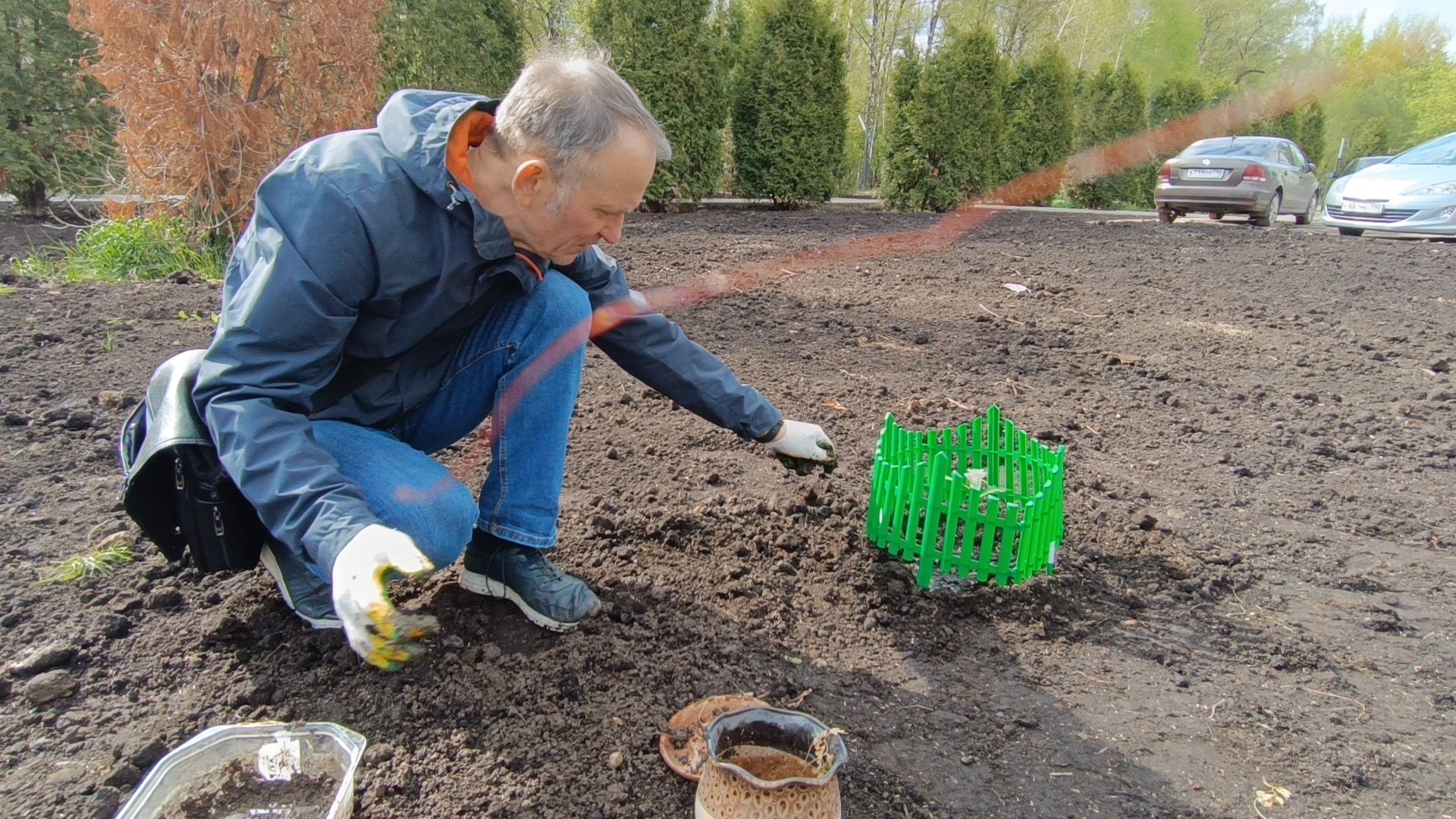 экология, дуб, лобня, парк,