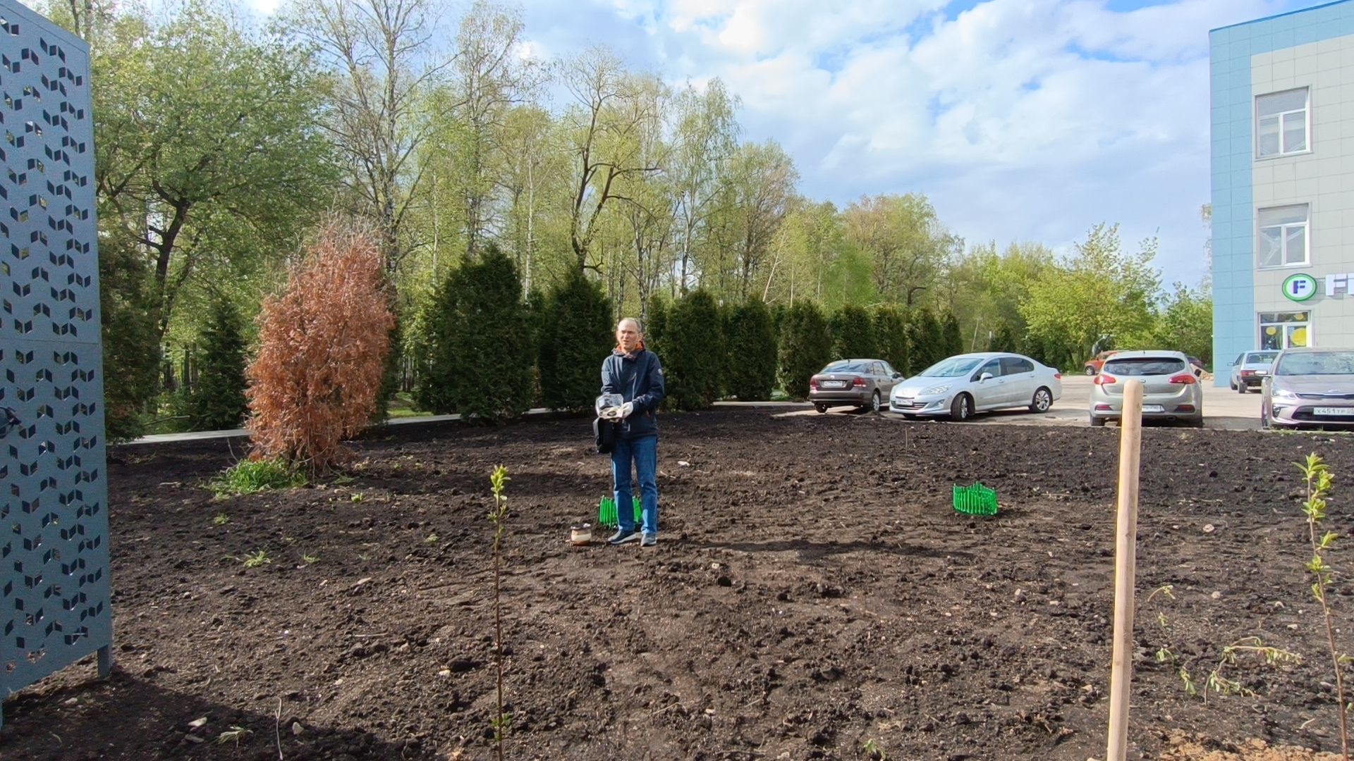 экология, дуб, лобня, парк,